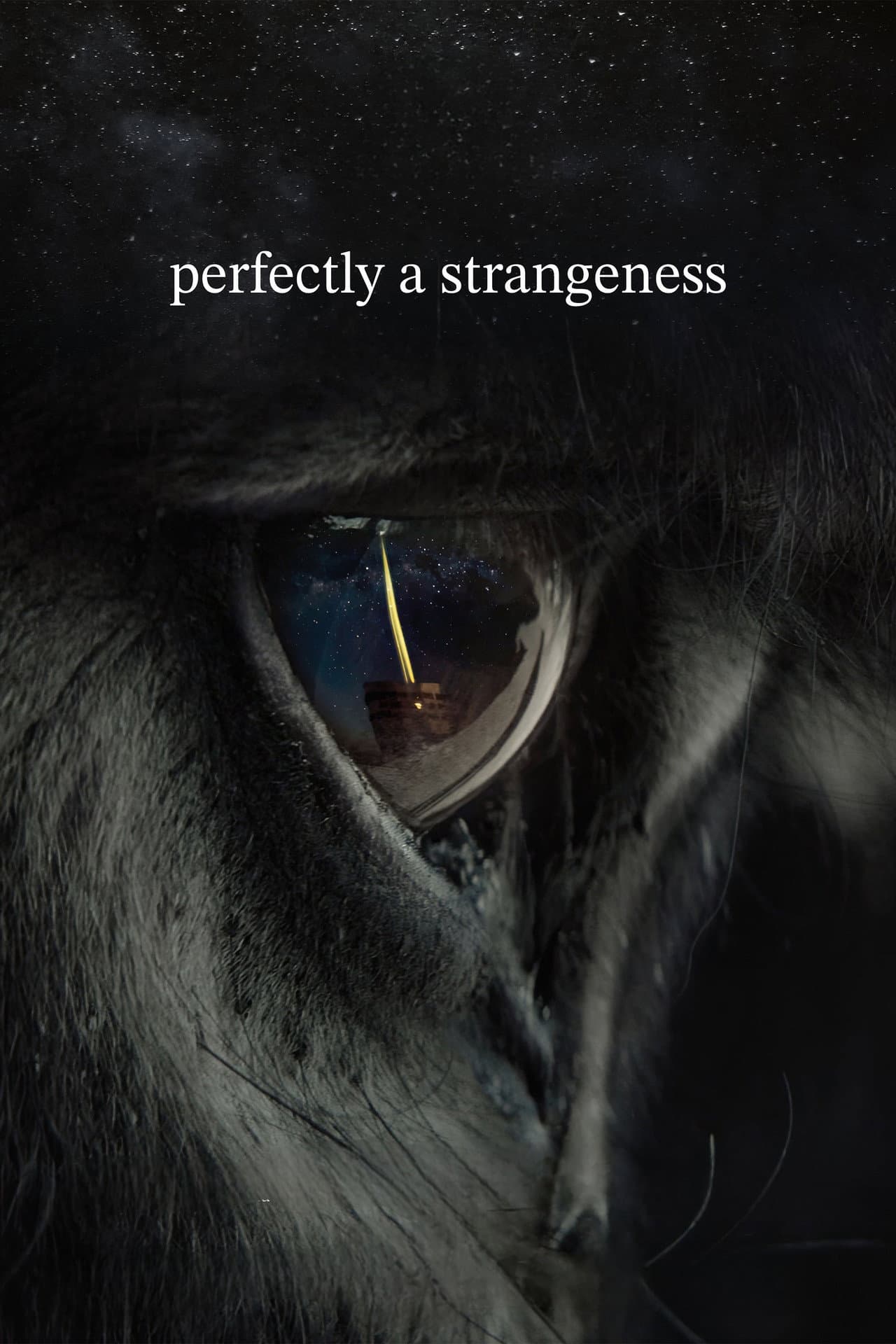 perfectly a strangeness preview 2