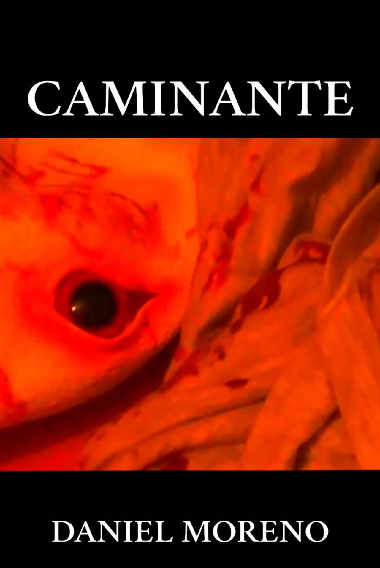 CAMINANTE preview 2