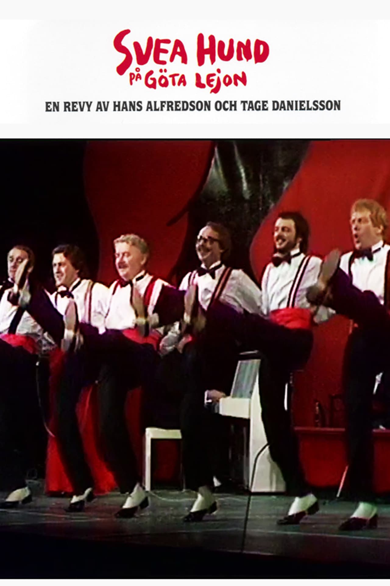 Svea hund på Göta Lejon preview 2