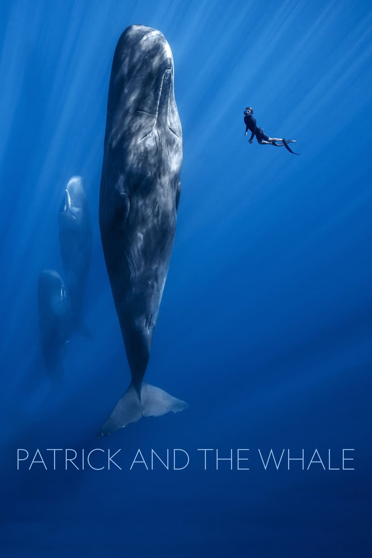 Patrick and the Whale preview 2