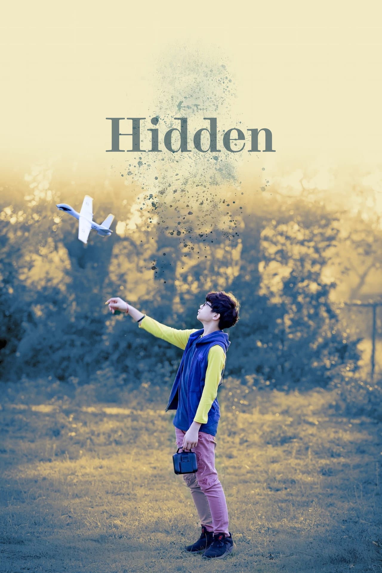 Hidden preview 2