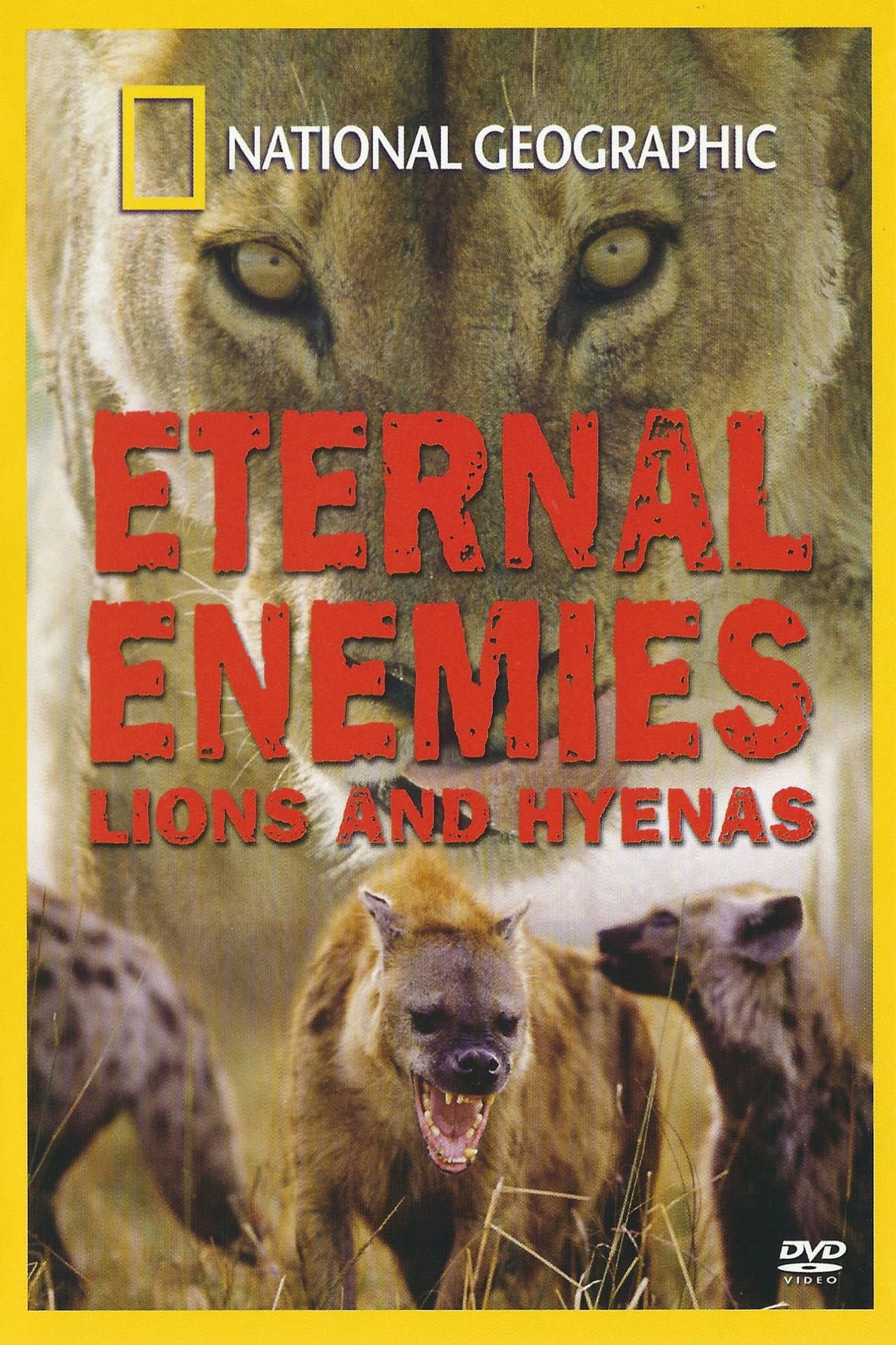 Eternal Enemies: Lions and Hyenas preview 2
