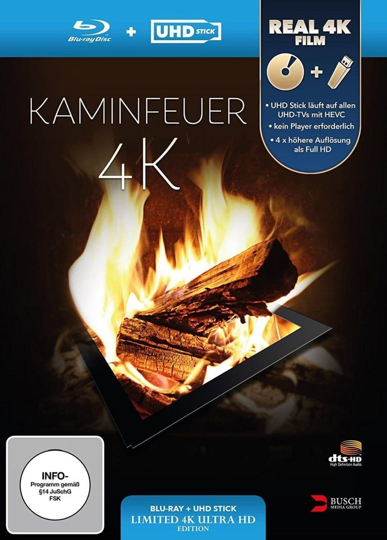 Kaminfeuer 4K preview 2