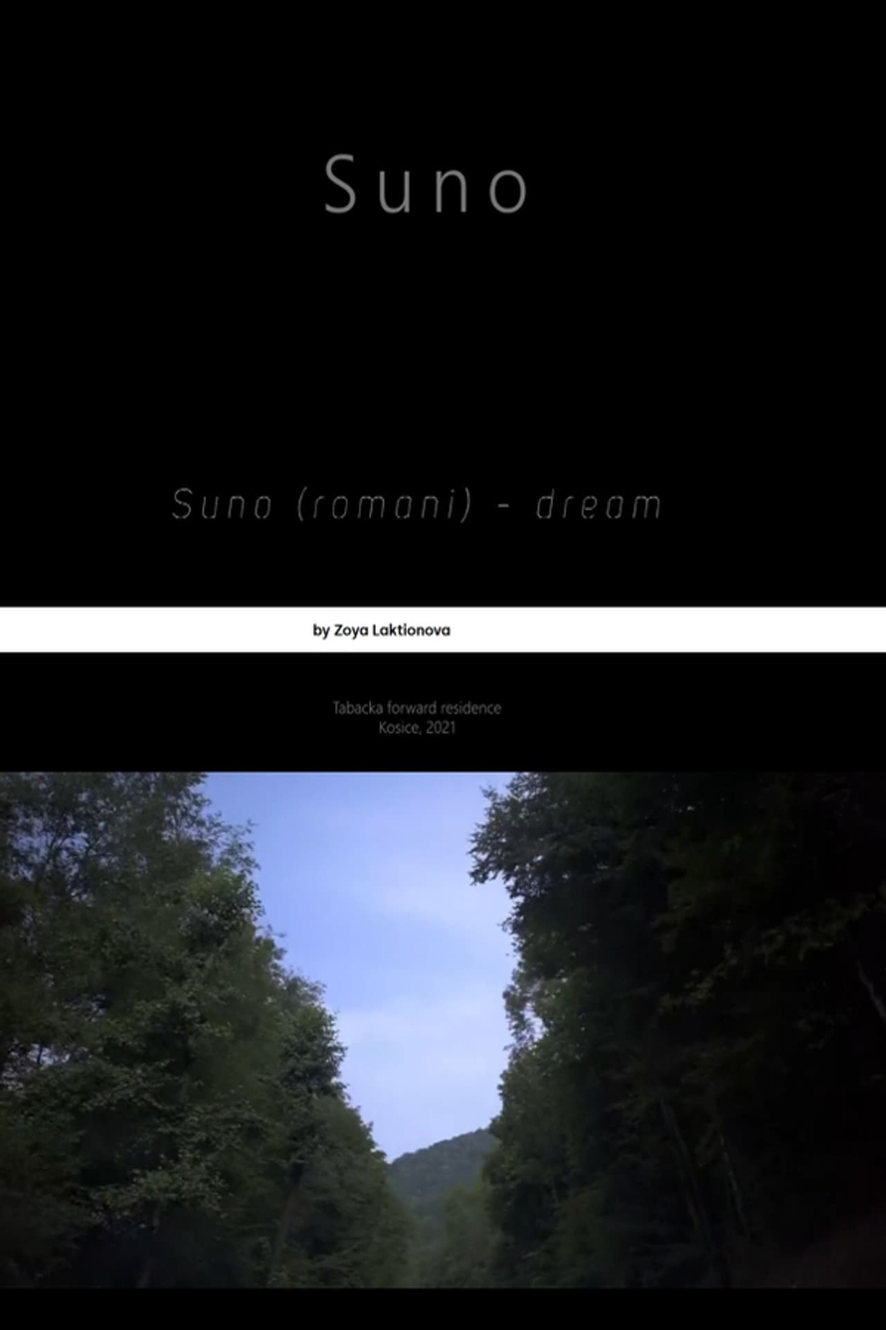 Suno preview 1