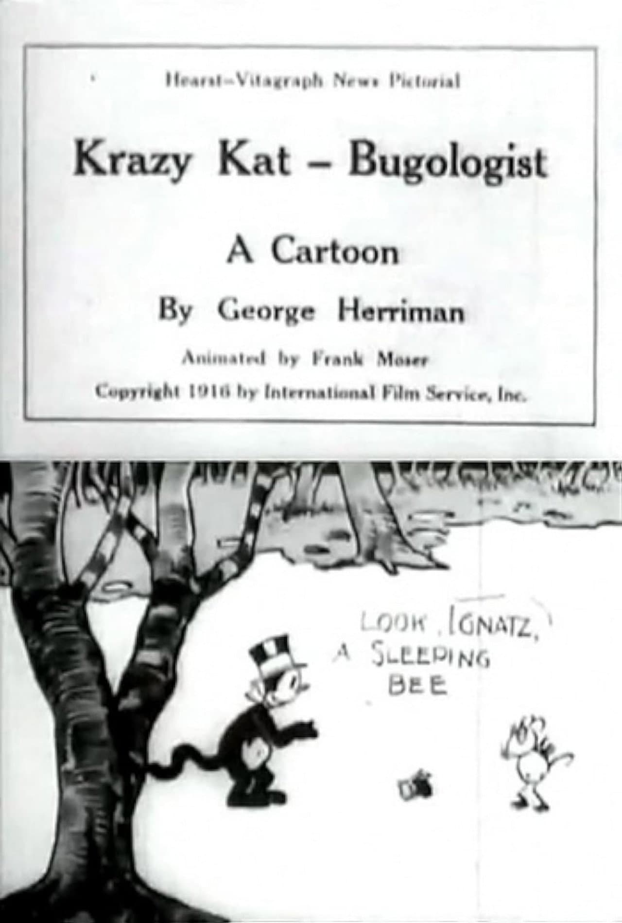 Krazy Kat, Bugologist preview 1