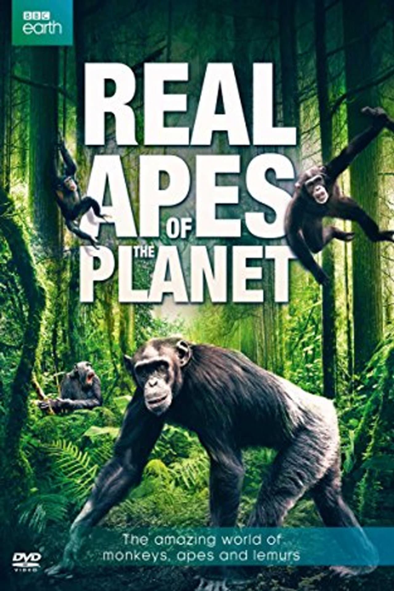 The Real Apes of the Planet preview 2
