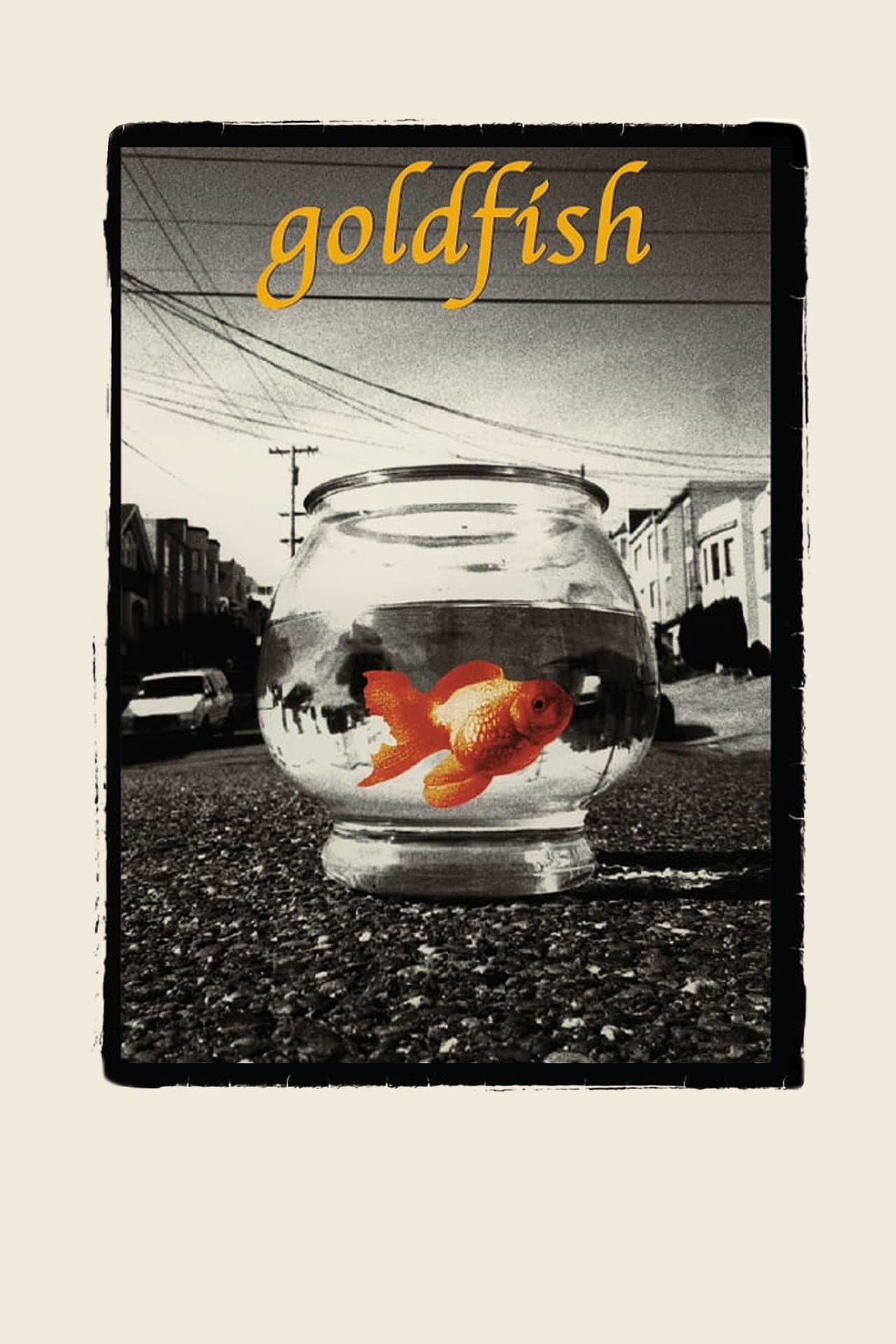 Goldfish preview 1