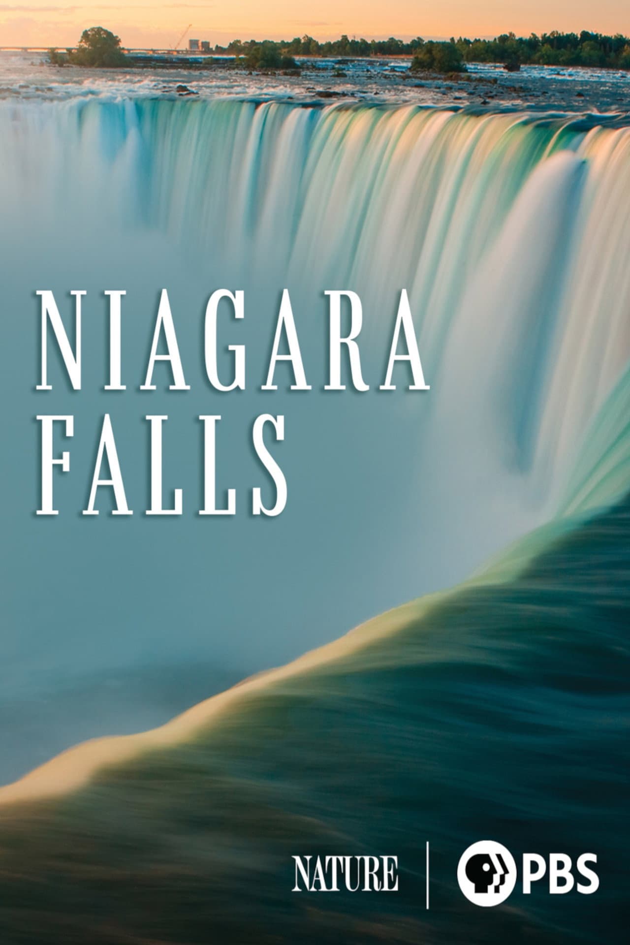 Niagara Falls preview 1