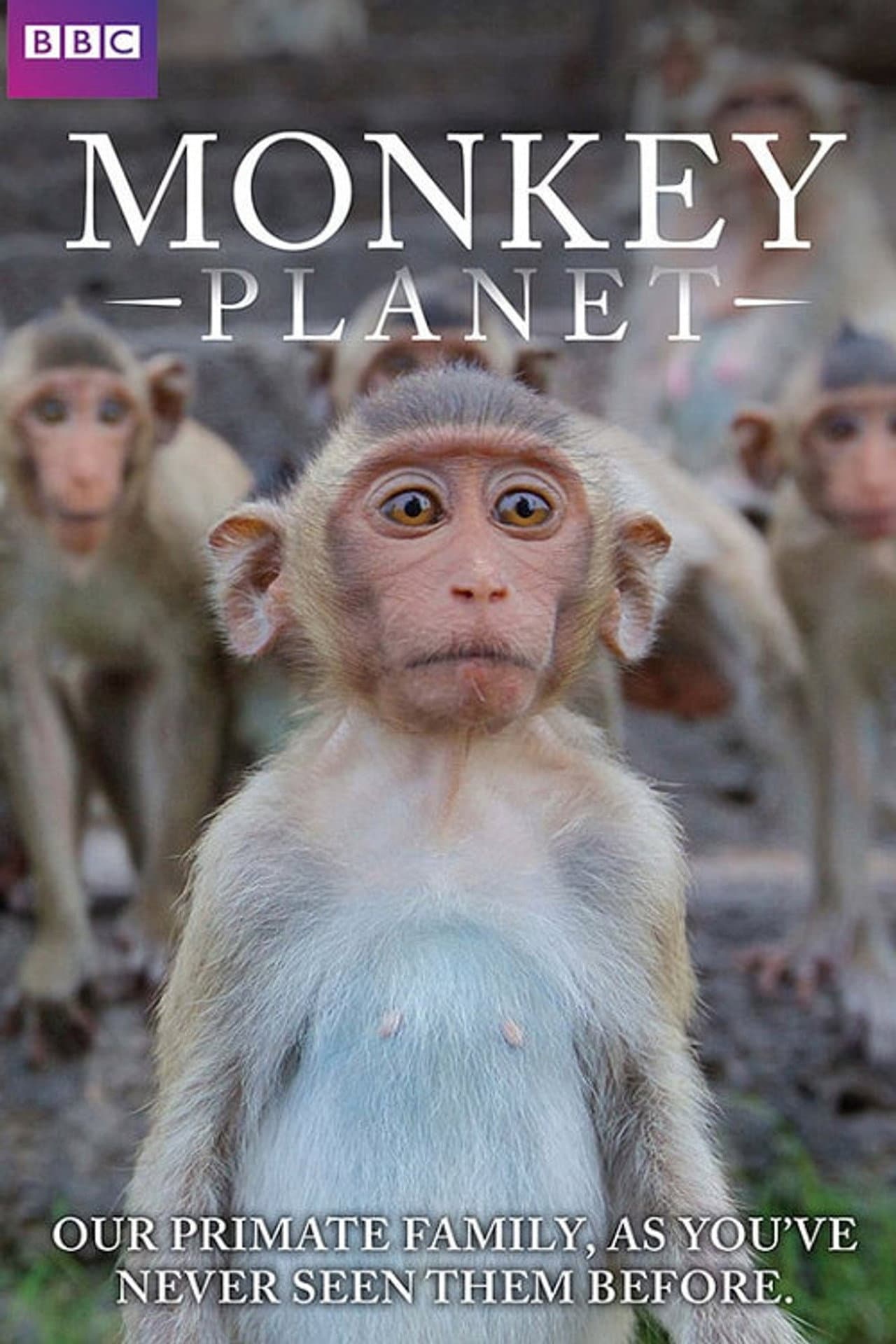 Monkey Planet preview 2