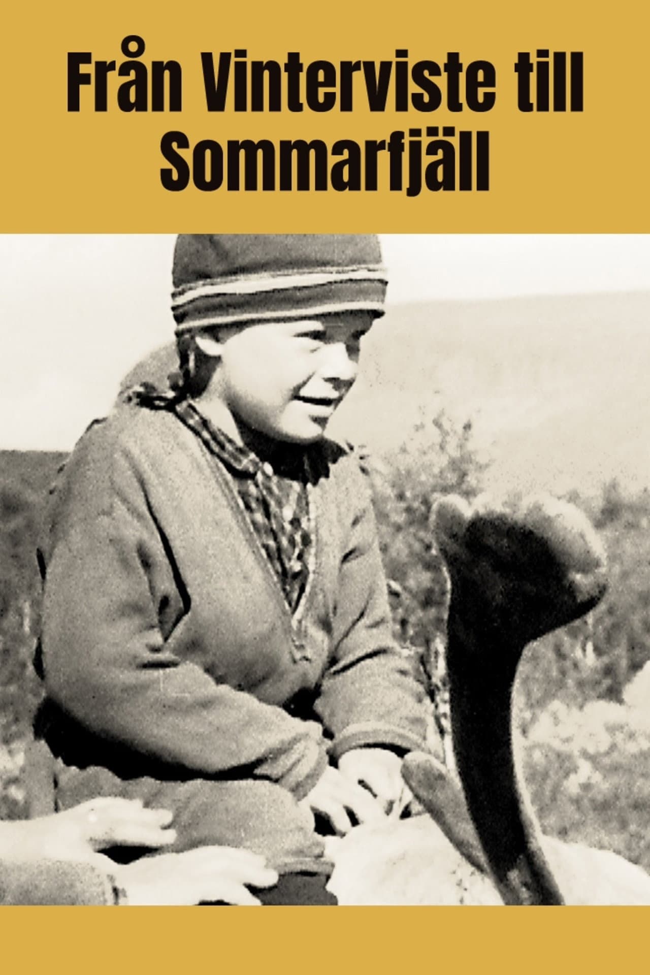 Från vinterviste till sommarfjäll preview 2