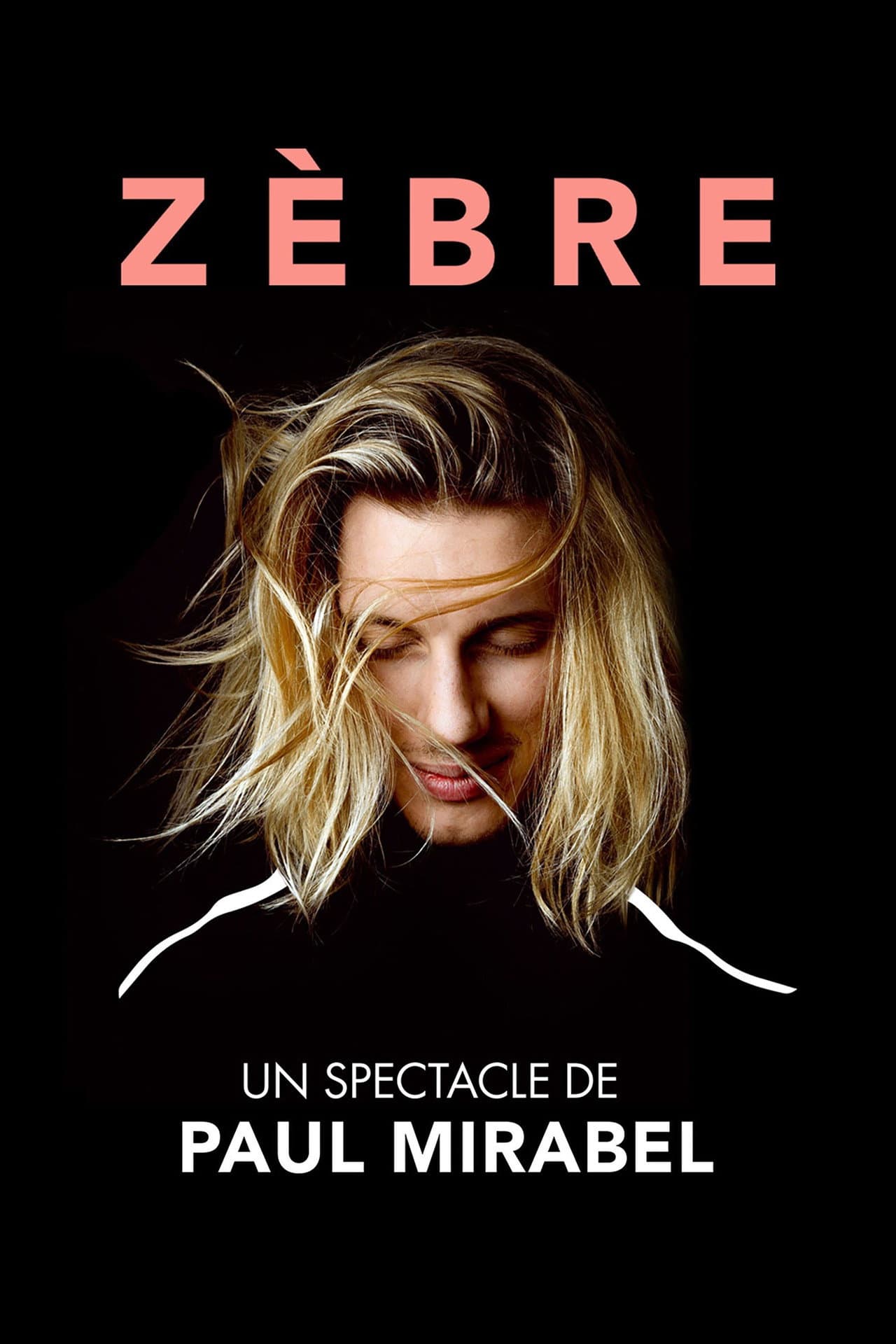Paul Mirabel : Zèbre preview 2