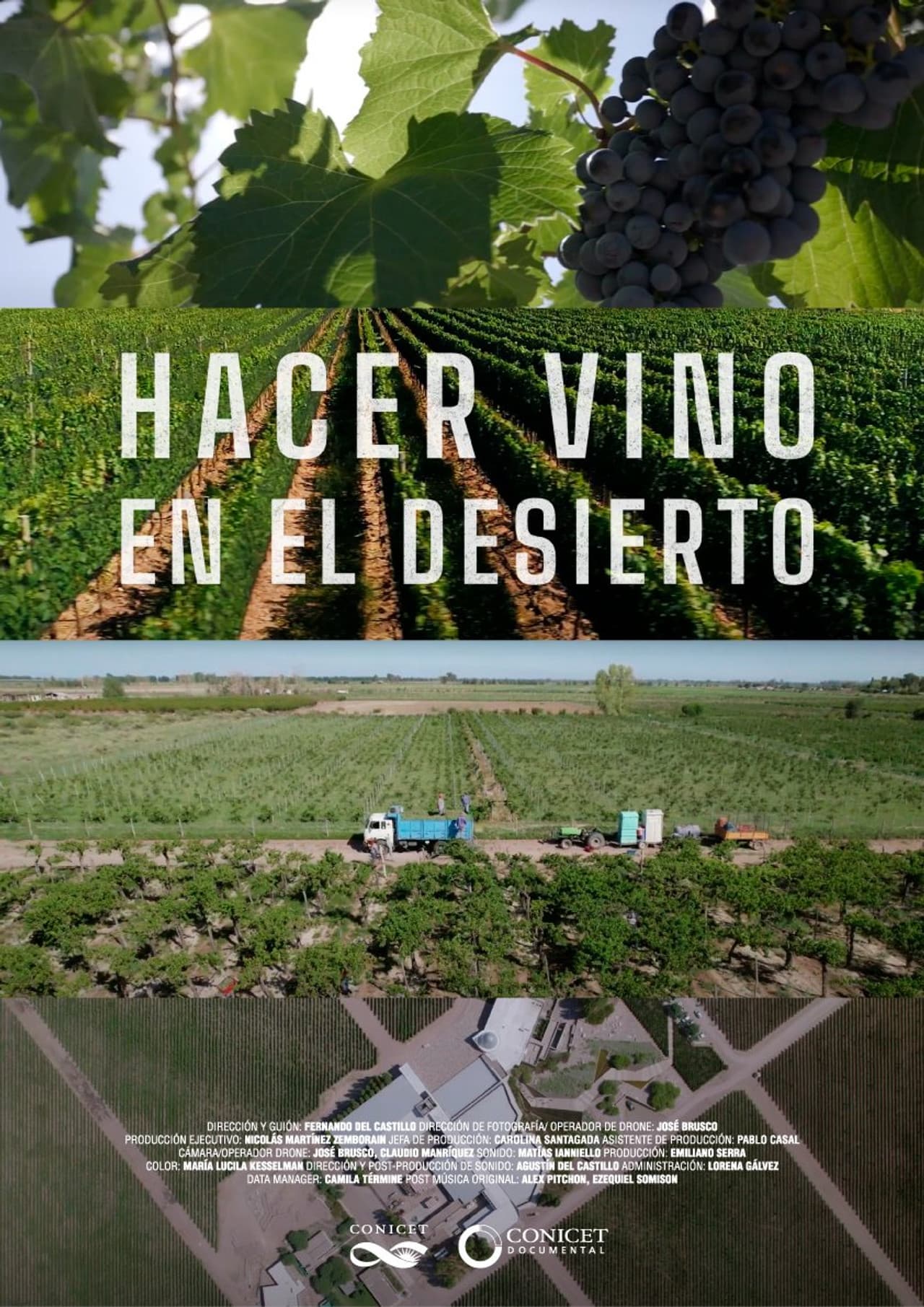 Hacer vino en el desierto preview 1