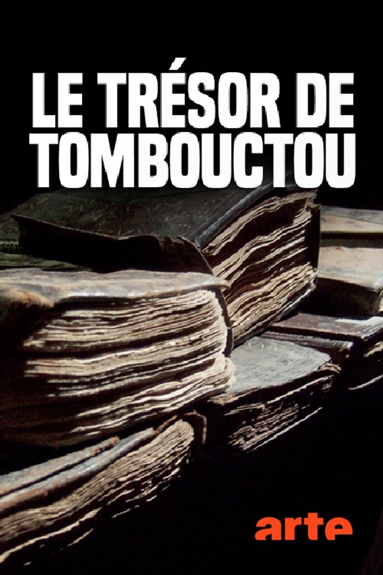 Der Schatz von Timbuktu, die Geschichte einer Rettung preview 1