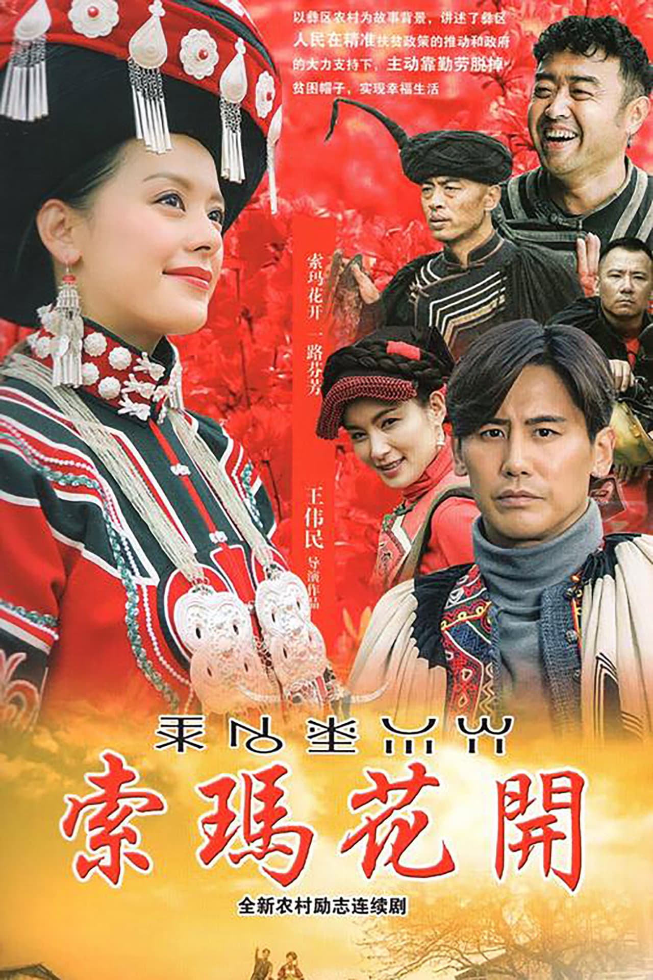 索玛花开 preview 2