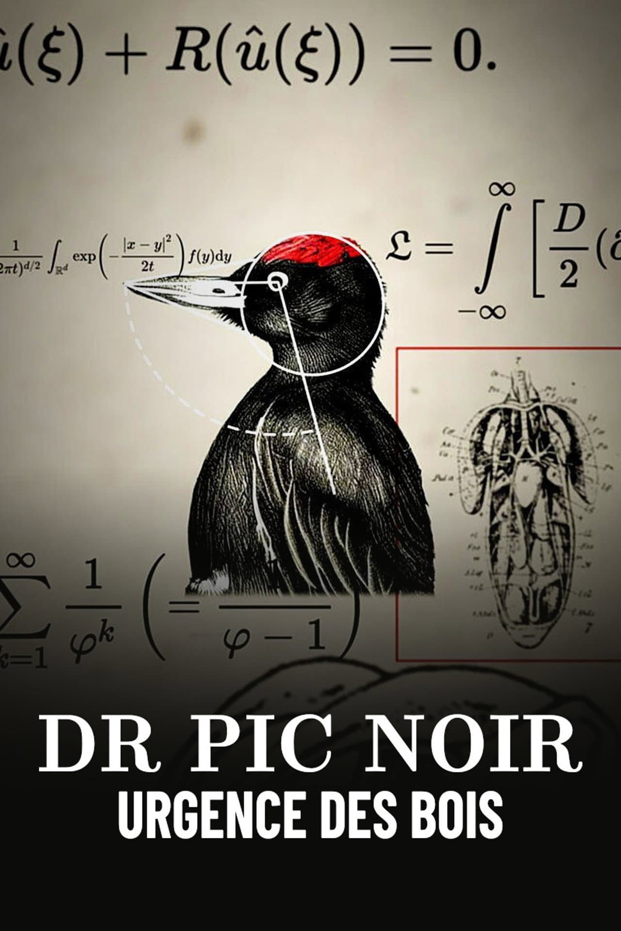 Dr Pic Noir, urgence des bois preview 2
