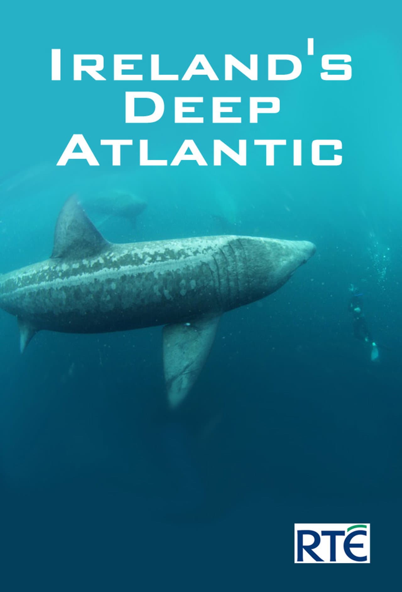 Ireland's Deep Atlantic preview 1