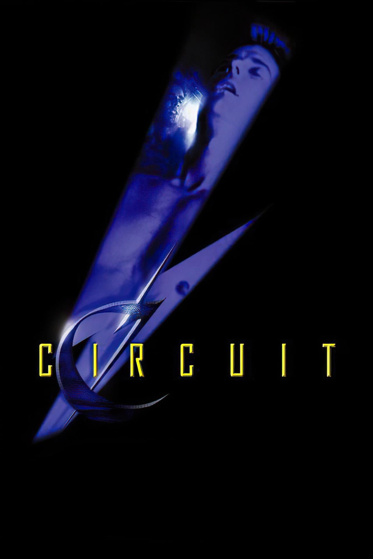 Circuit preview 2