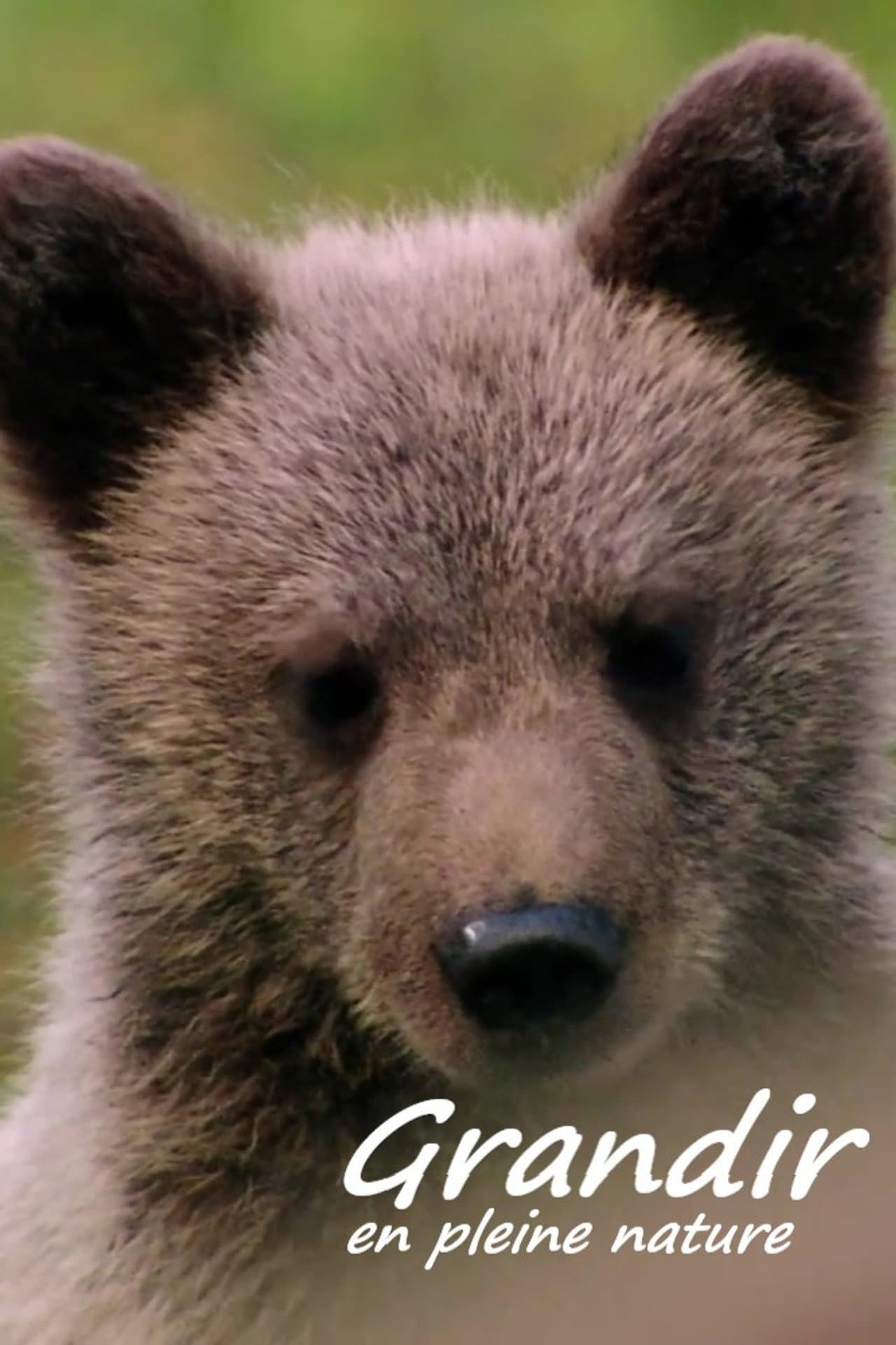 Grandir en pleine nature preview 2