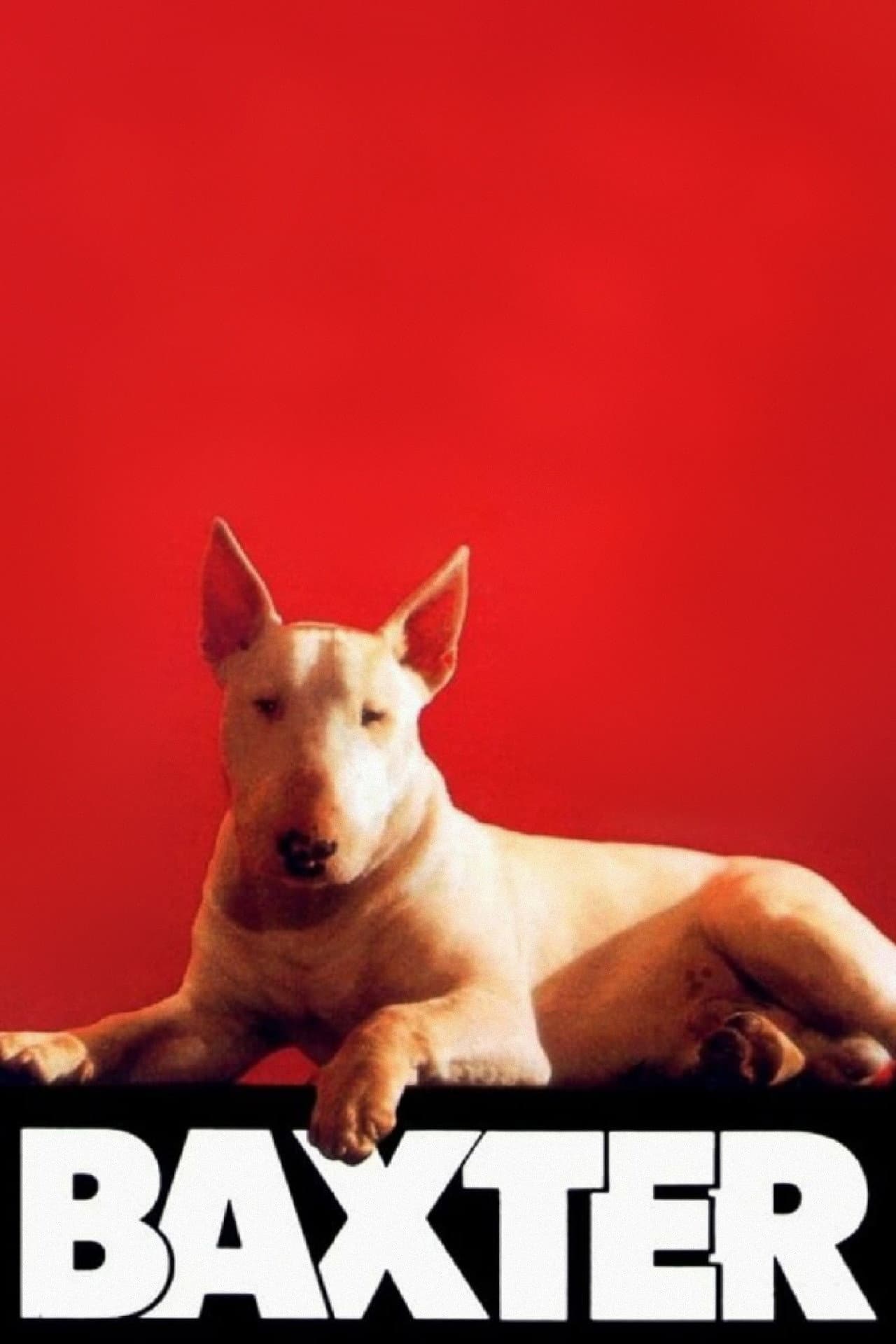 Baxter preview 2
