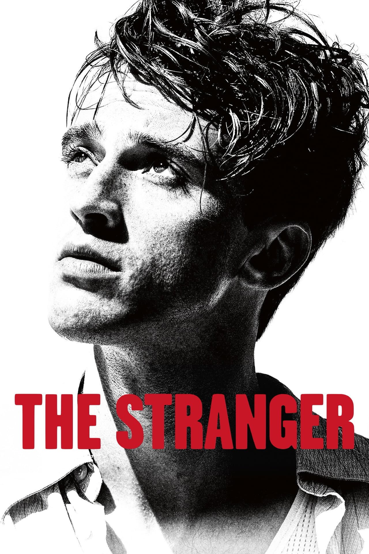 The Stranger preview 2
