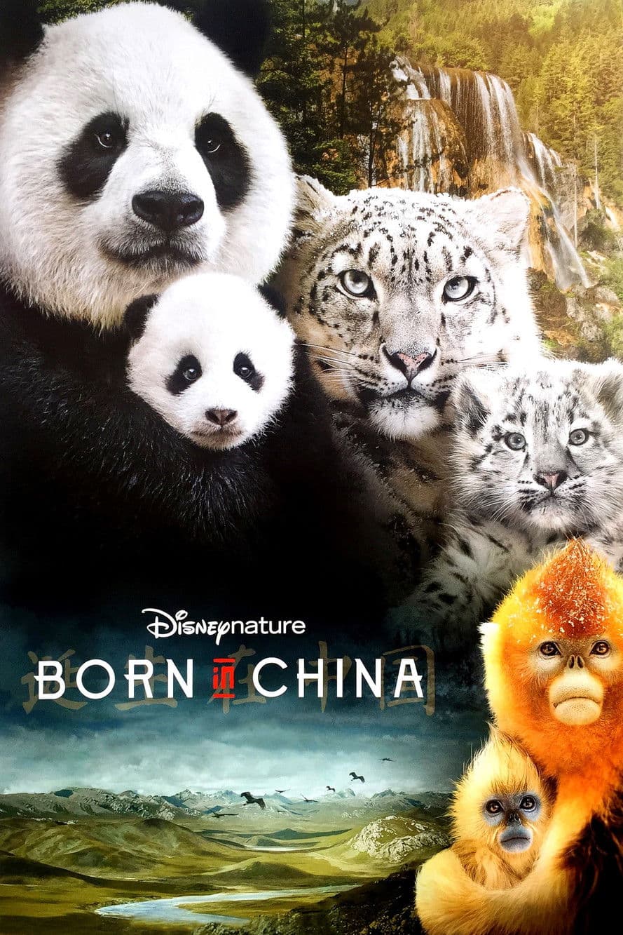 Born in China preview 2