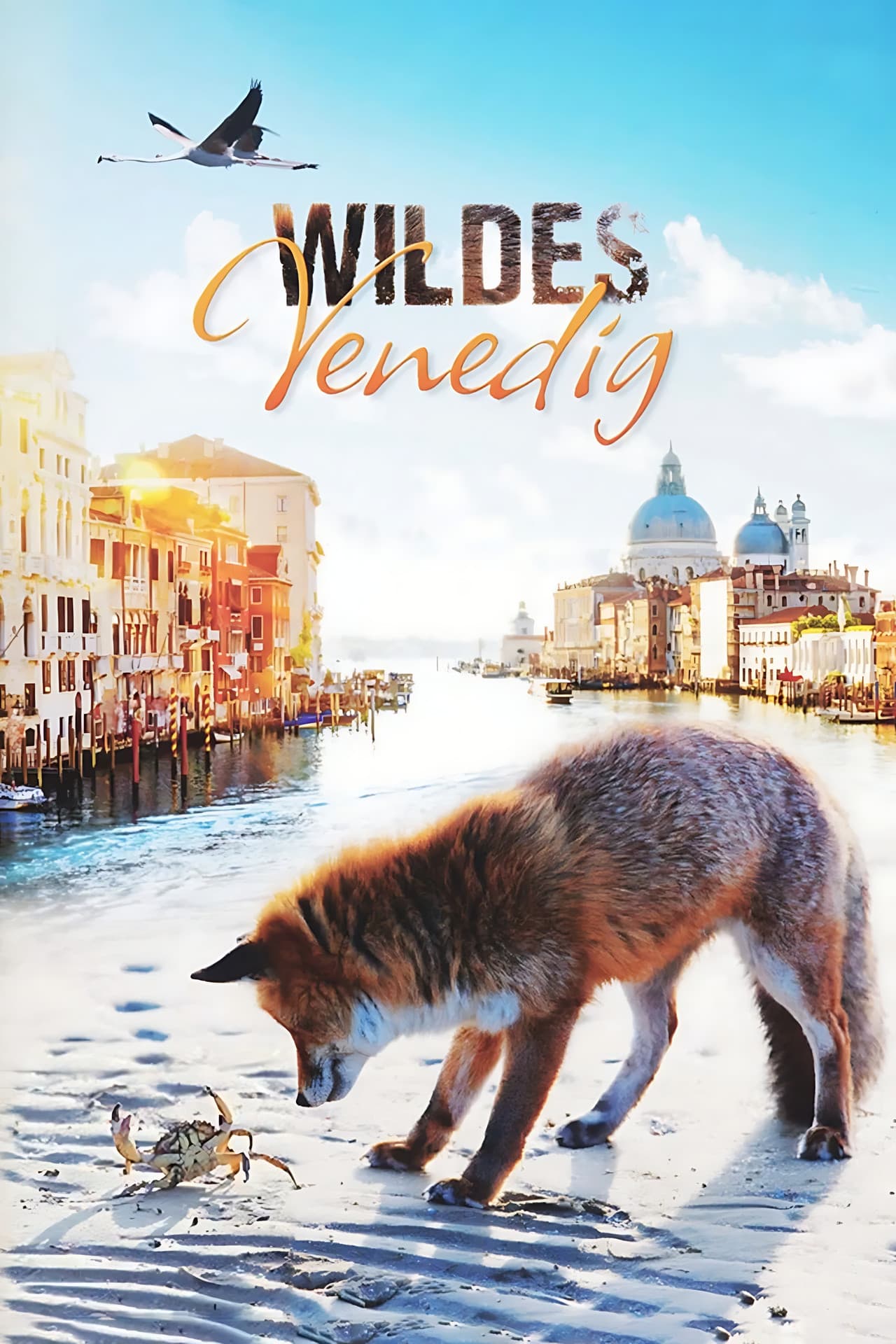 Wild Venice preview 2