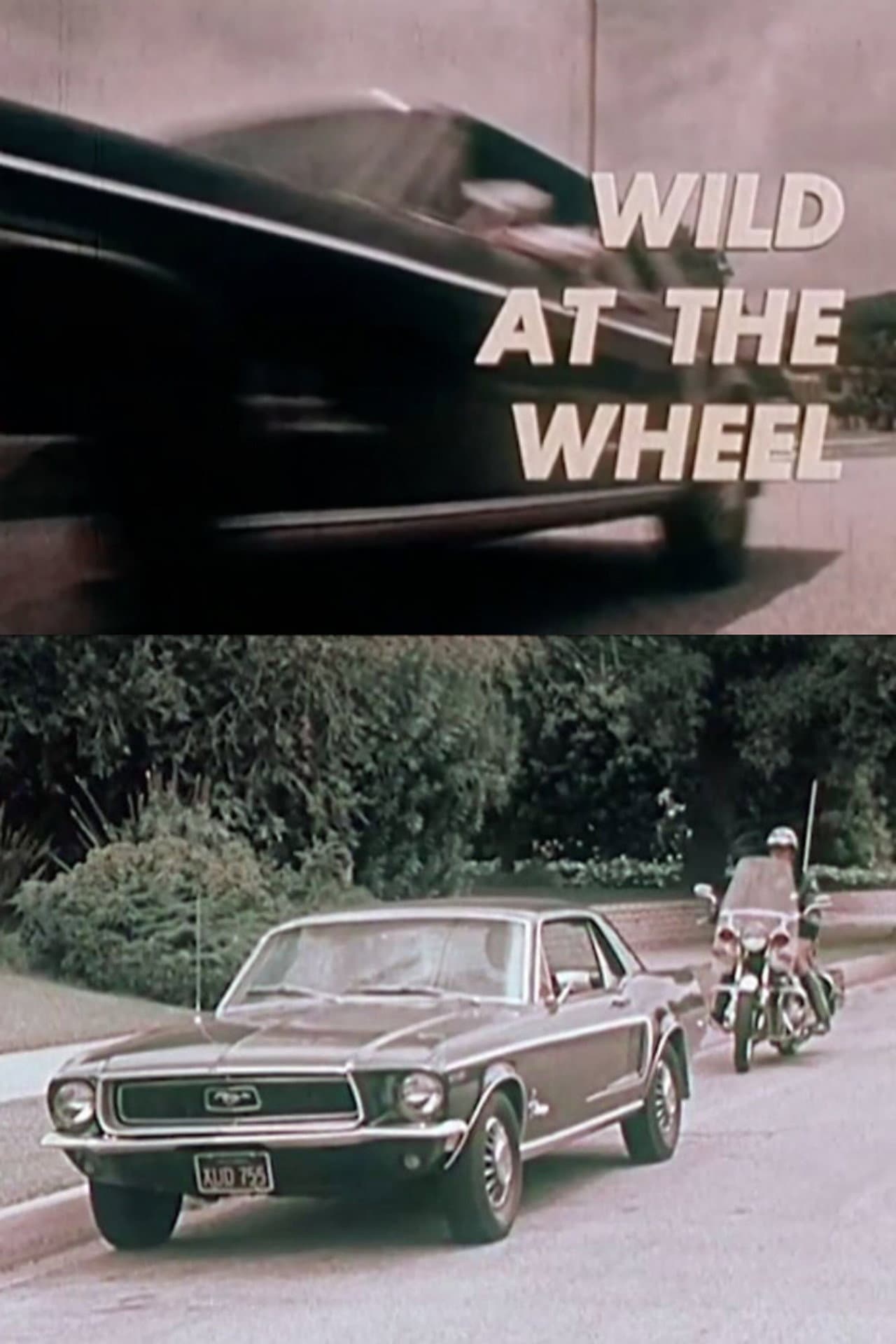 Wild at the Wheel preview 1