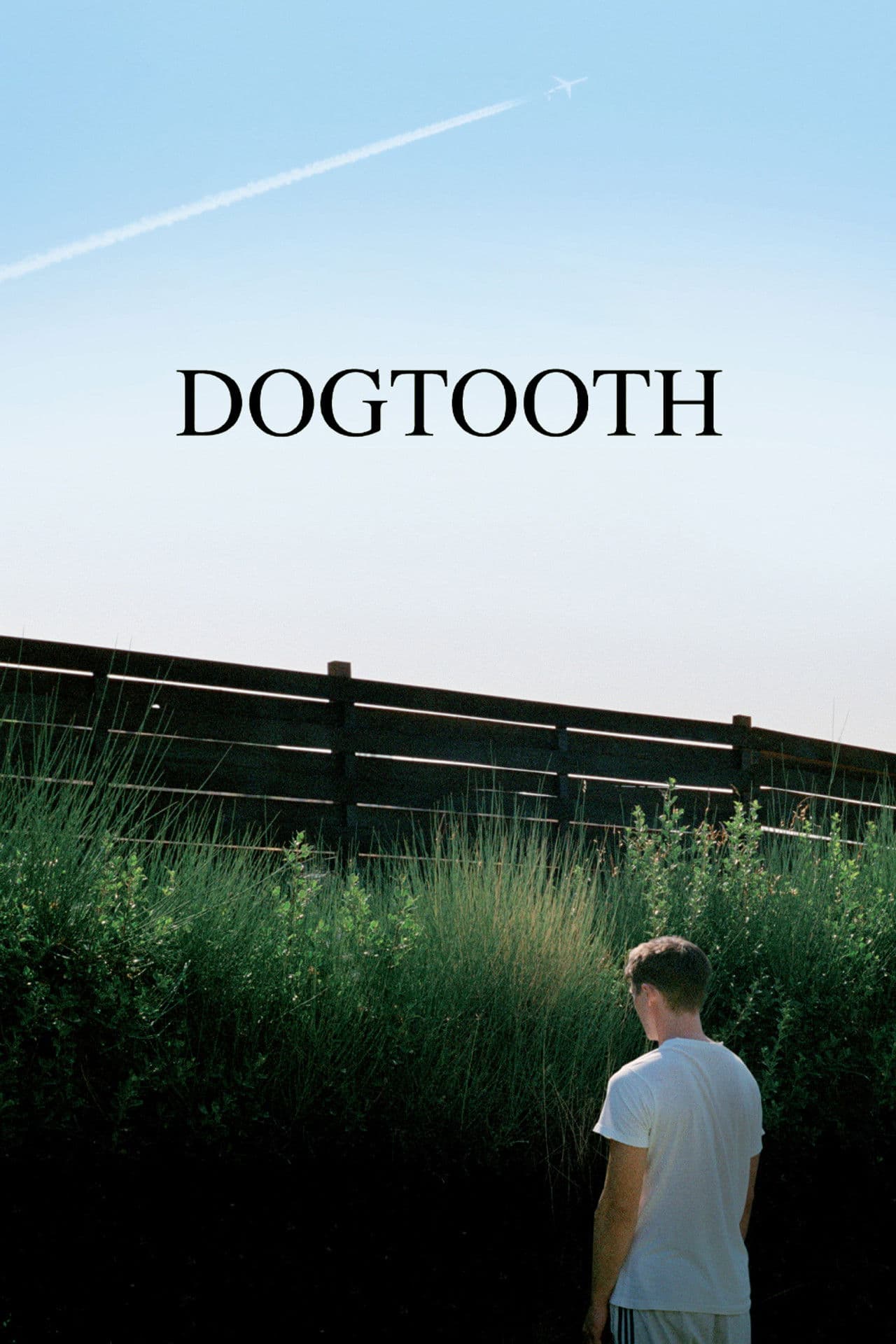 Dogtooth preview 2