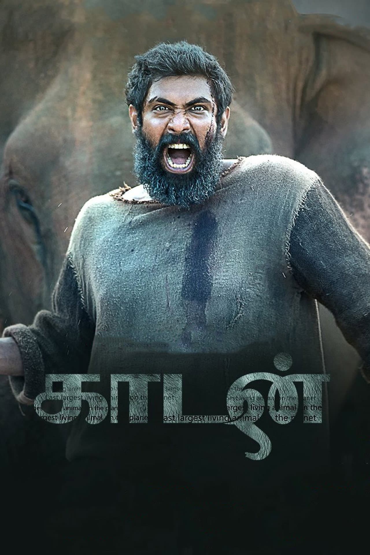 Kaadan preview 2
