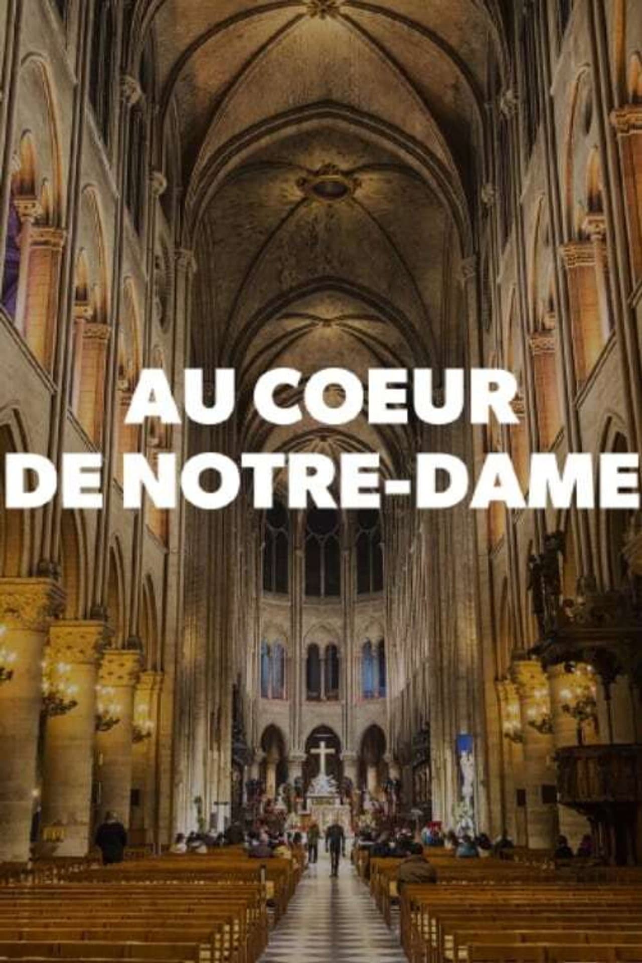 Au cœur de Notre-Dame preview 2
