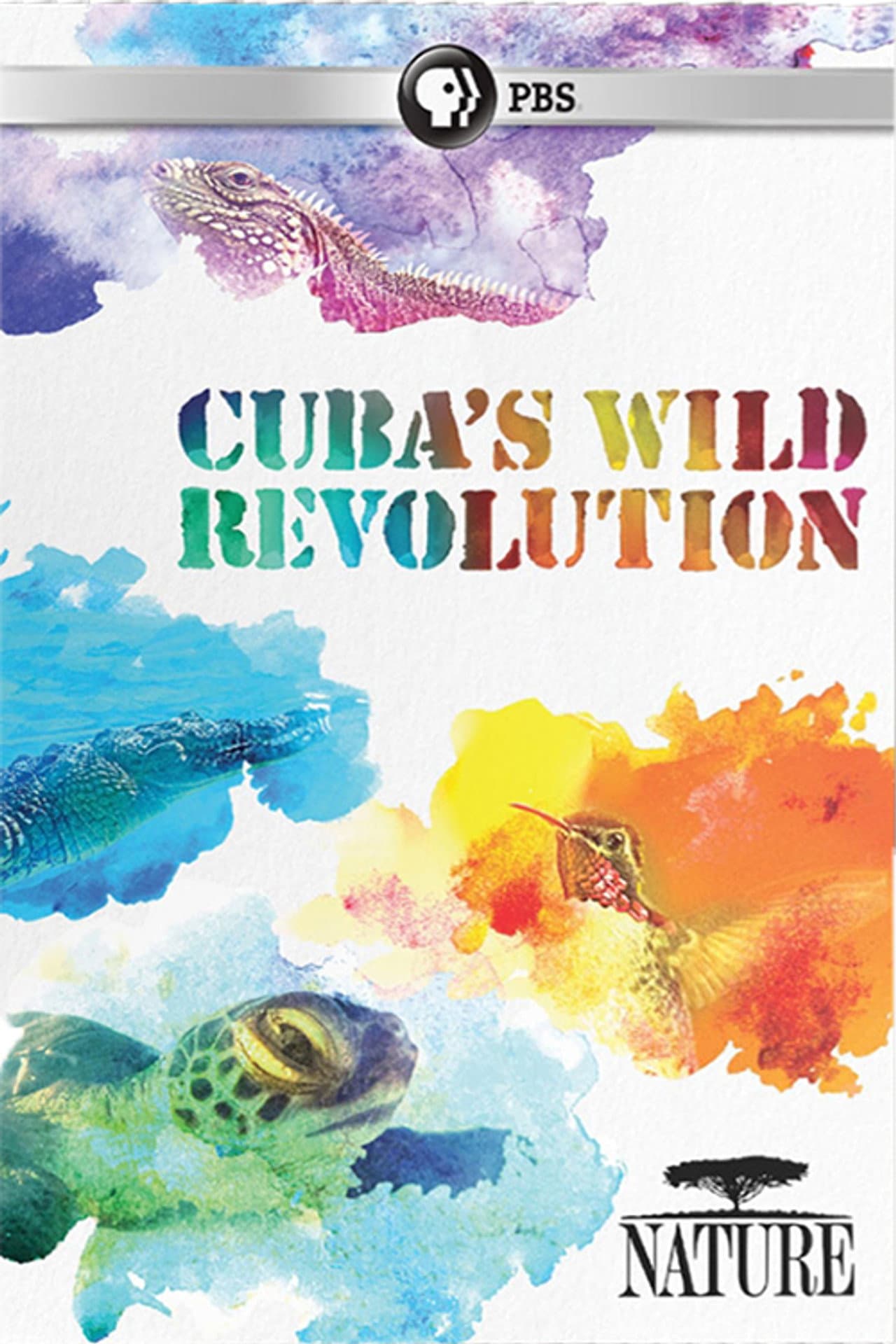 Cuba's Wild Revolution preview 2