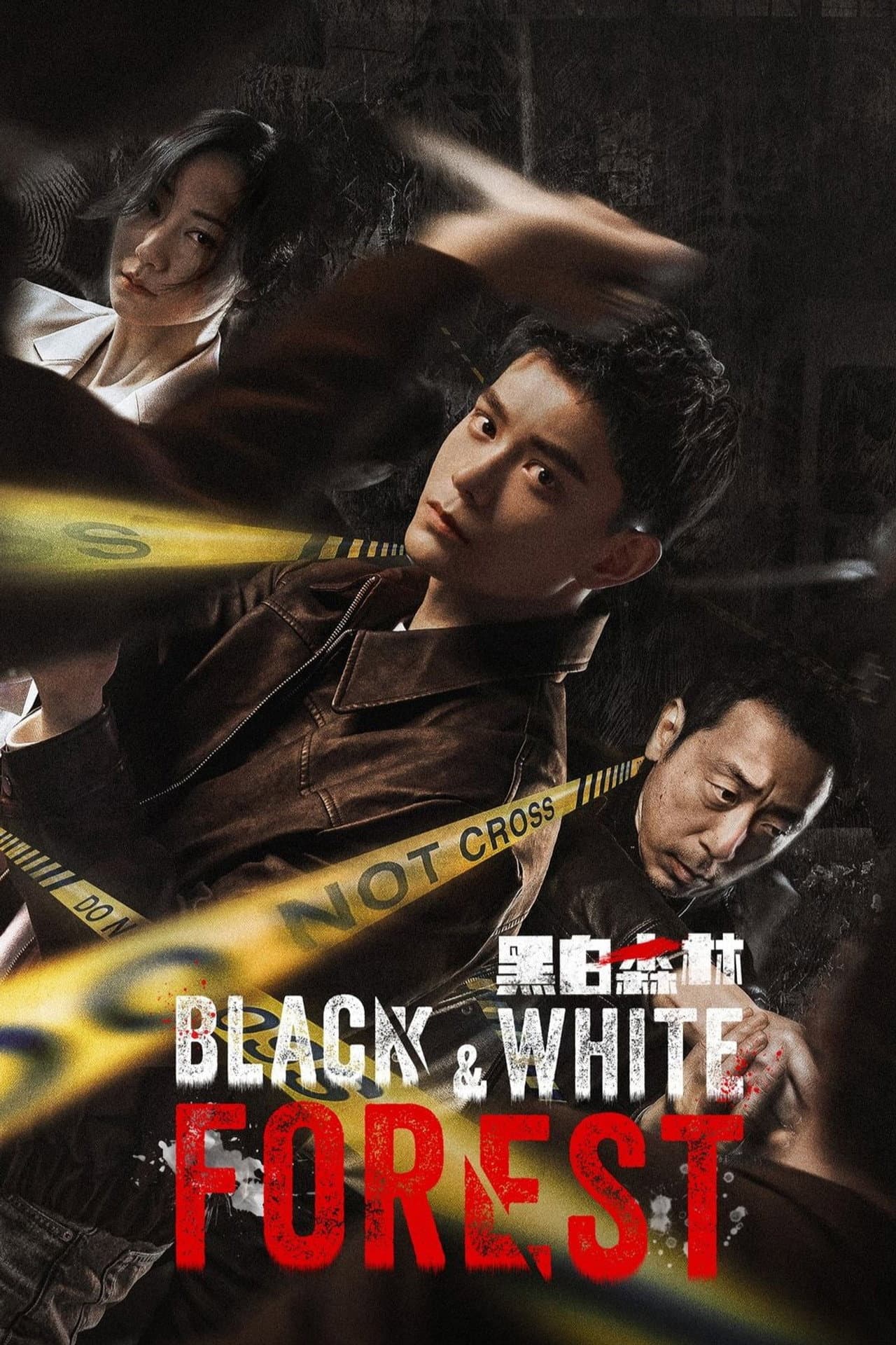 Black & White Forest preview 2