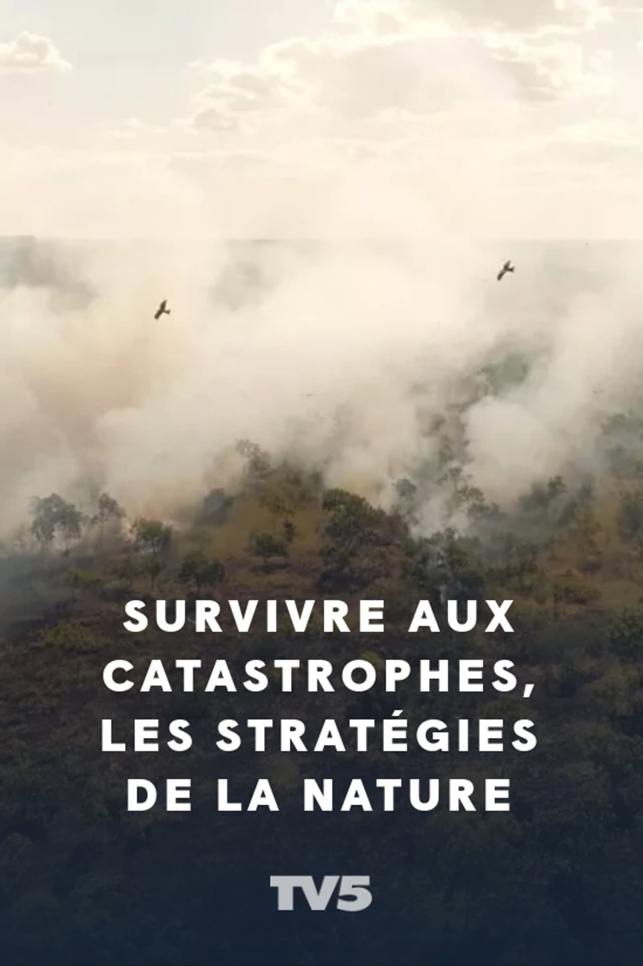 Survivre aux catastrophes, les stratégies de la nature preview 2