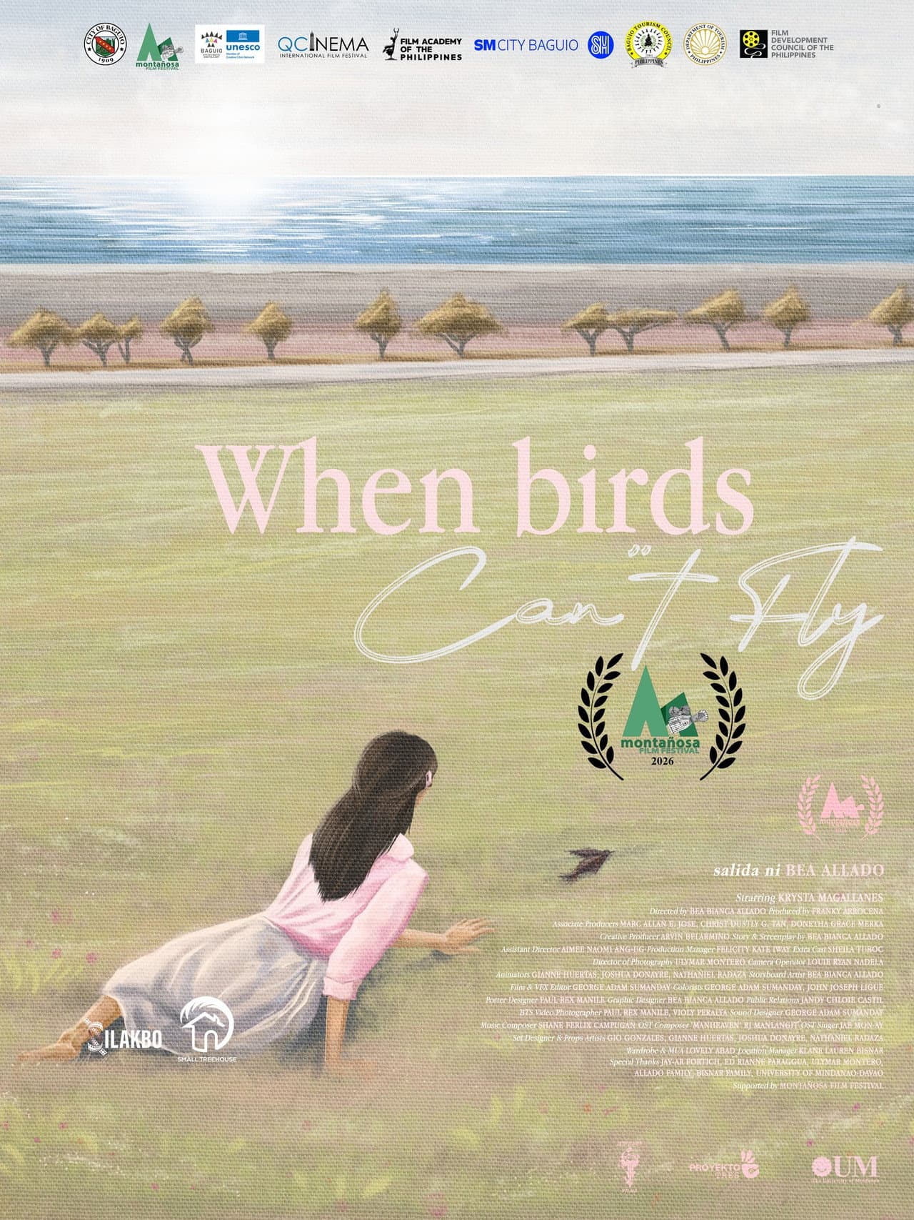 When Birds Can't Fly preview 1