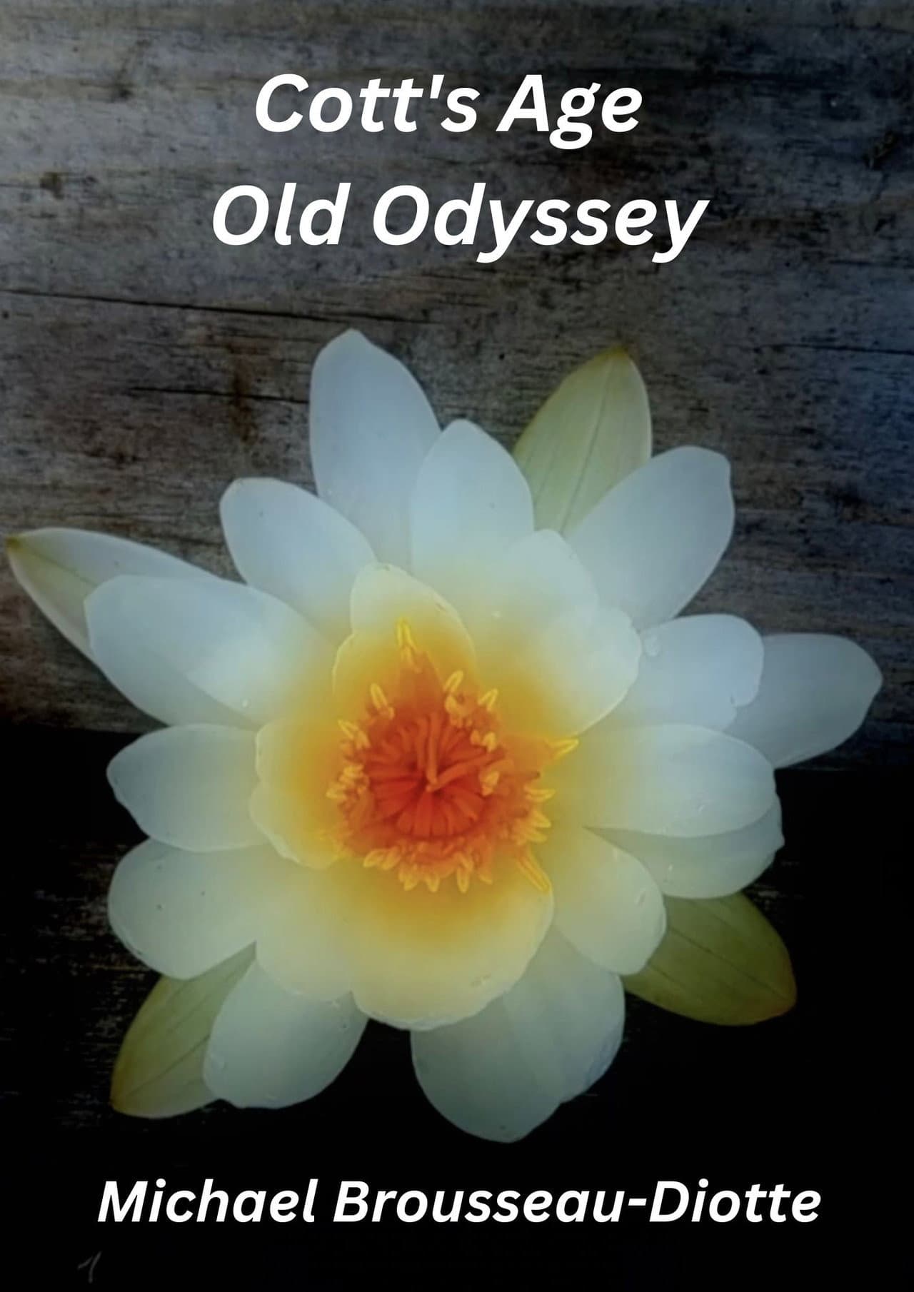 Cott's Age Old Odyssey preview 1
