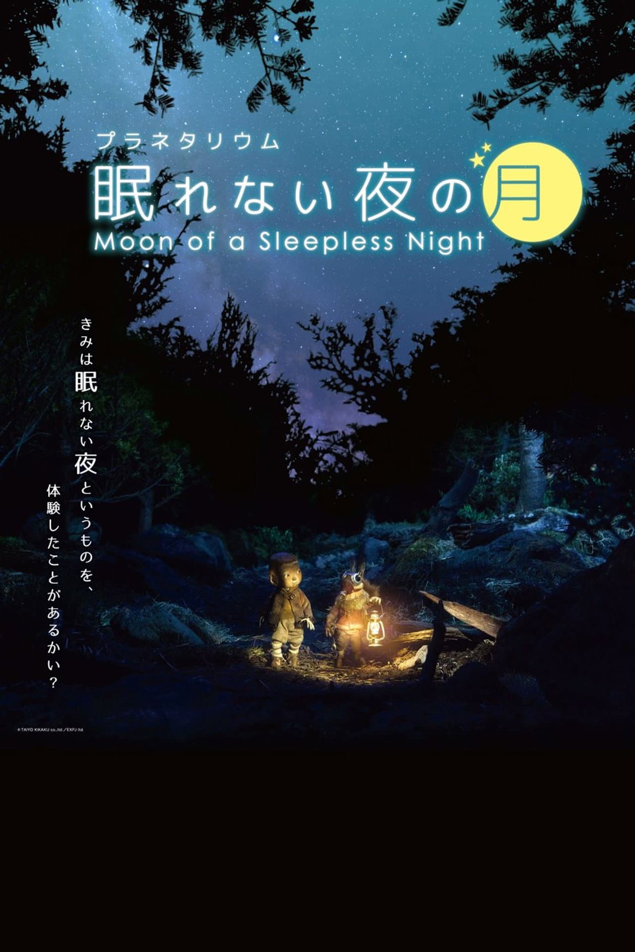 Moon of a Sleepless Night preview 2