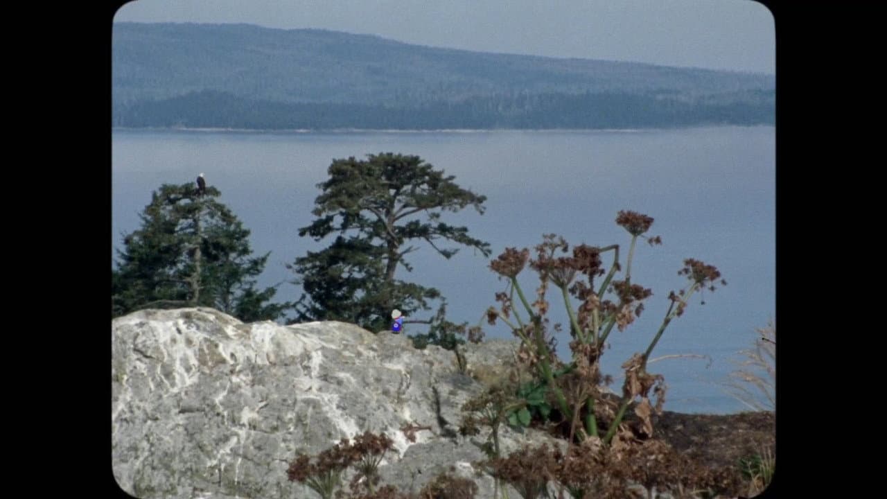 The Stand