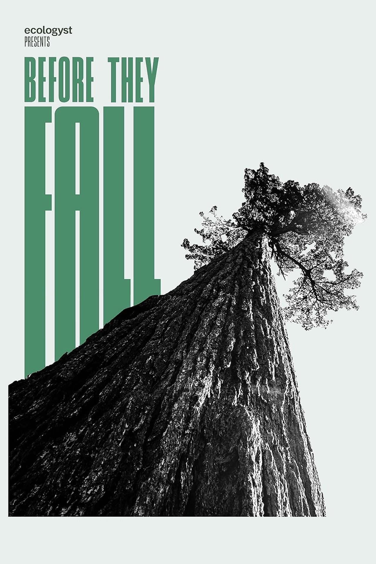 Before They Fall preview 1