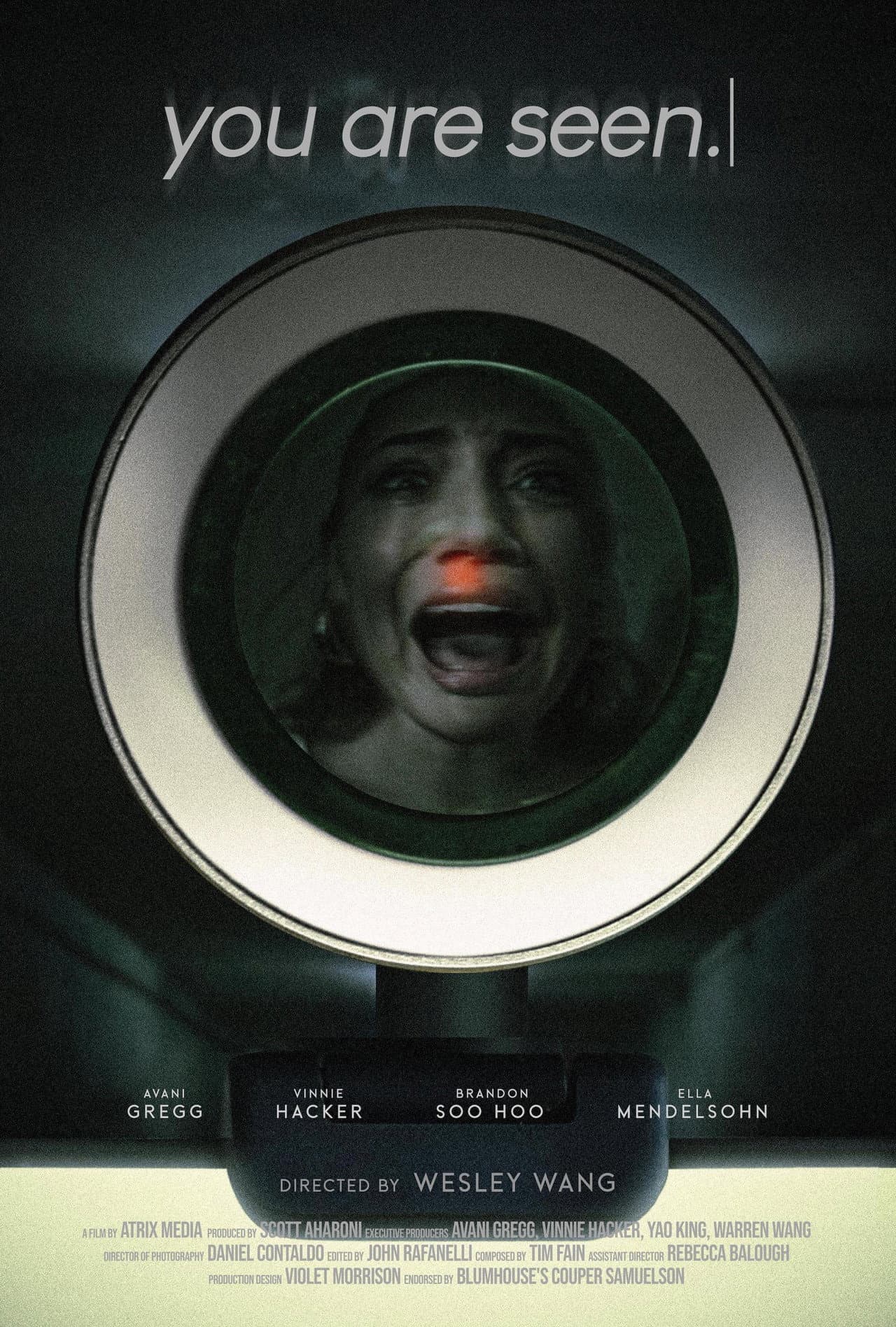 you are seen. preview 2