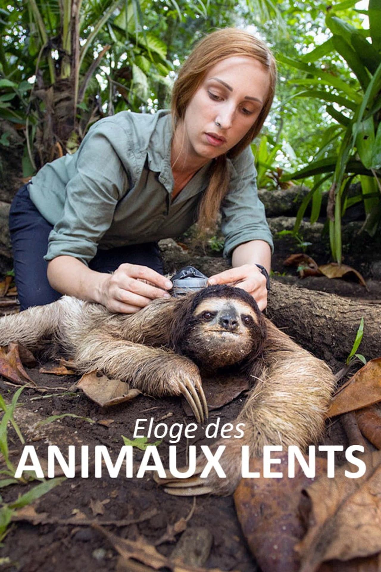 Éloge des animaux lents preview 2