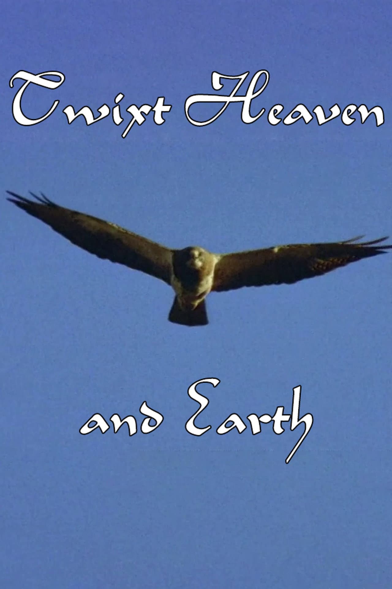 Twixt Heaven and Earth preview 2