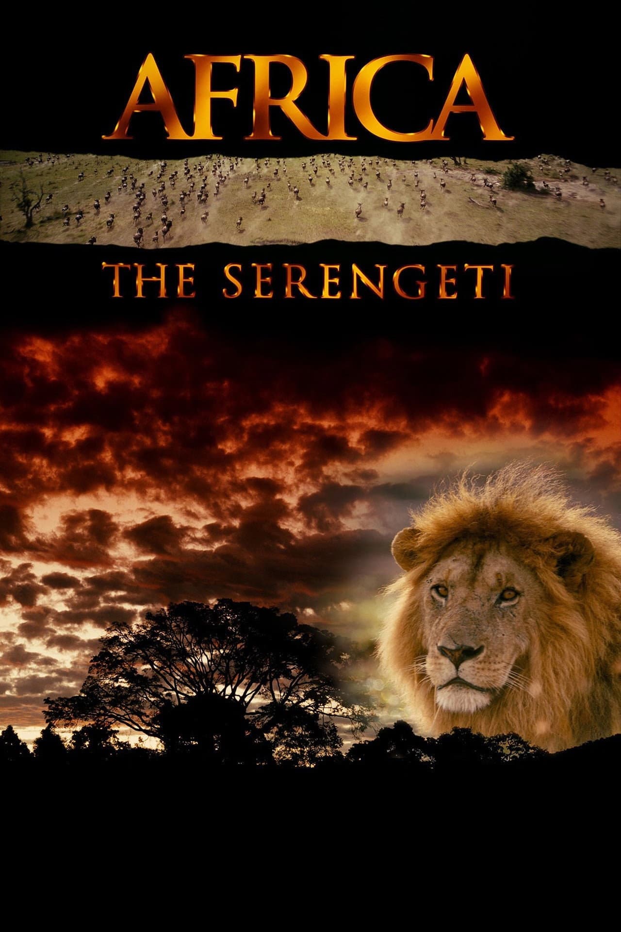 Africa: The Serengeti preview 2