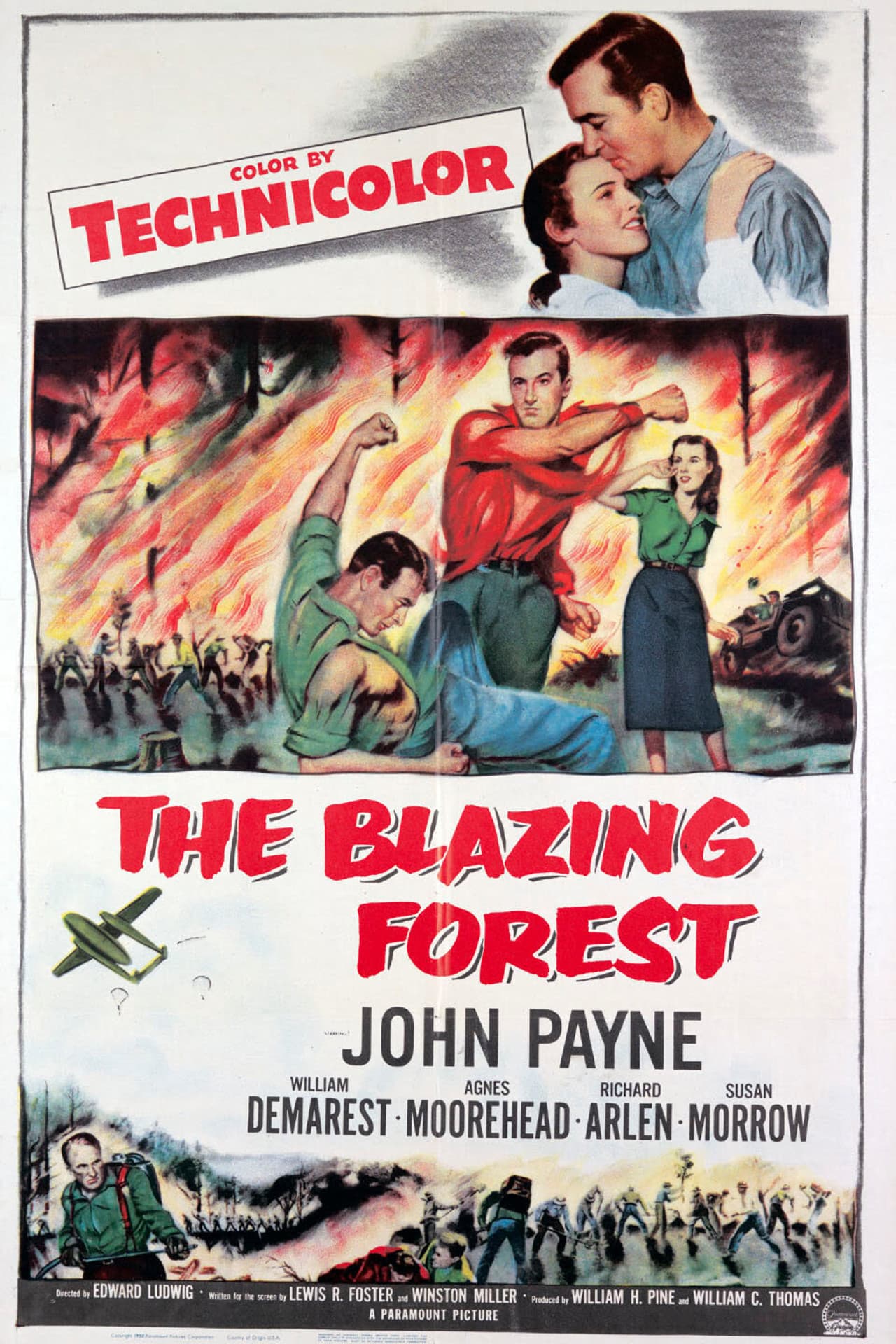 The Blazing Forest preview 2