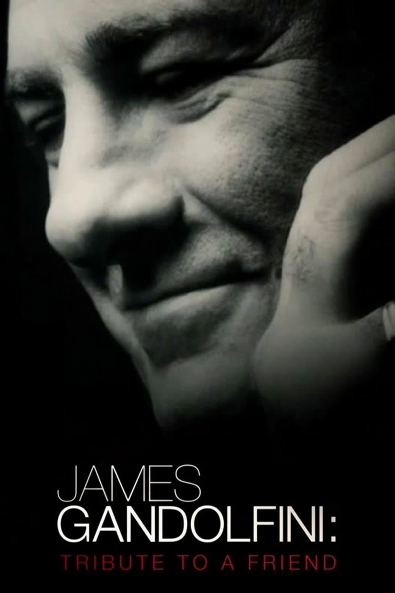 James Gandolfini: Tribute to a Friend preview 1