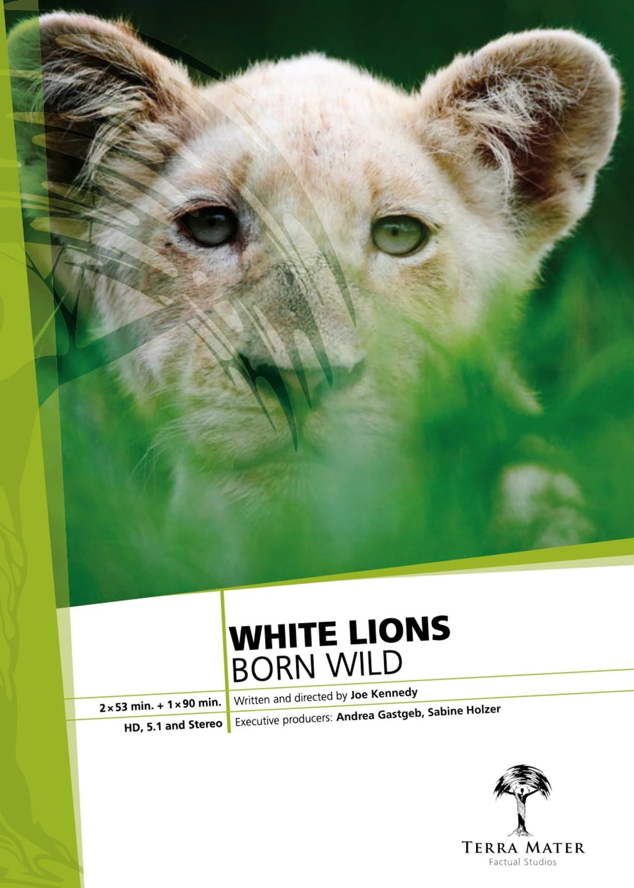 White Lions Born Wild preview 1