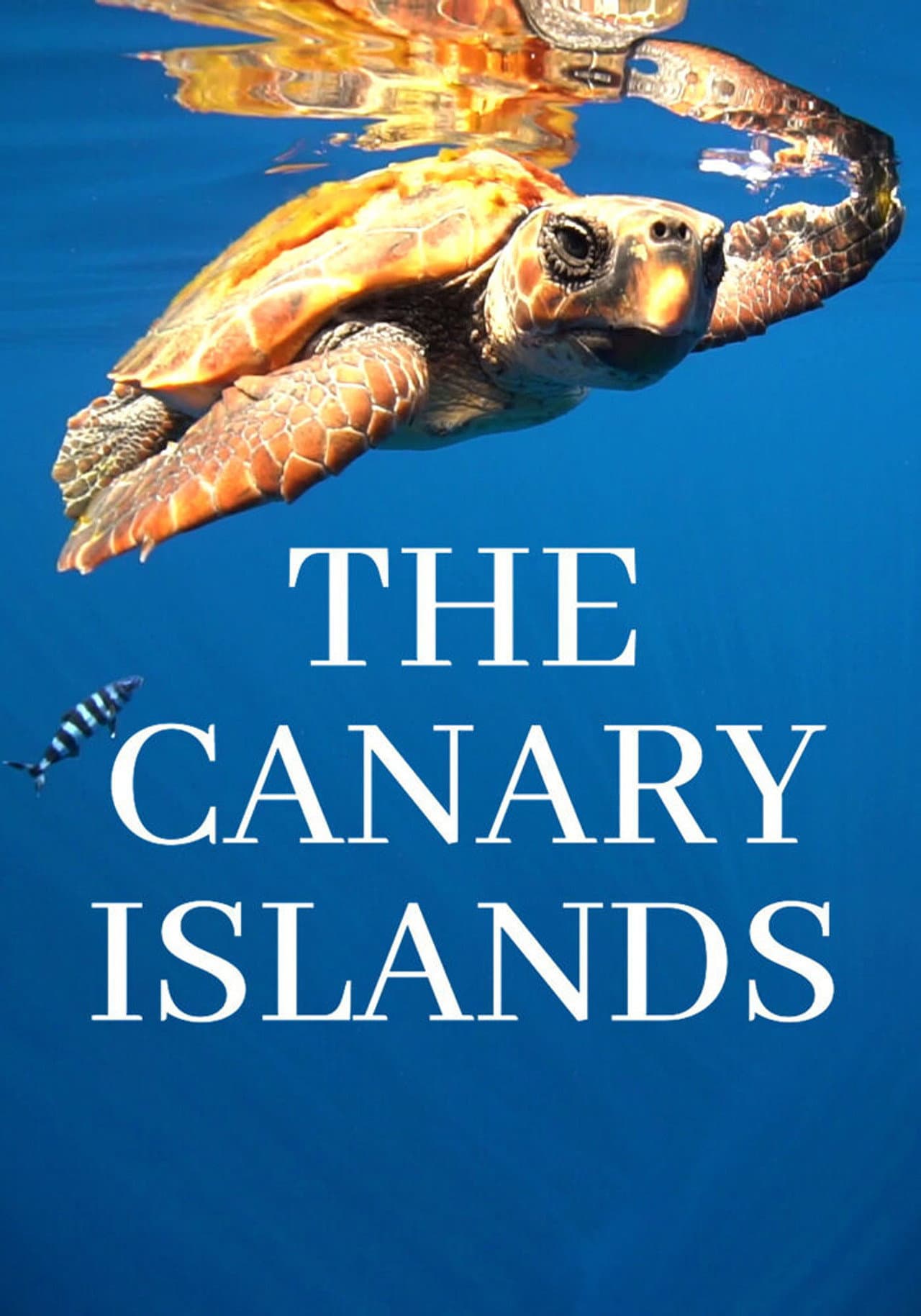 The Canary Islands preview 2
