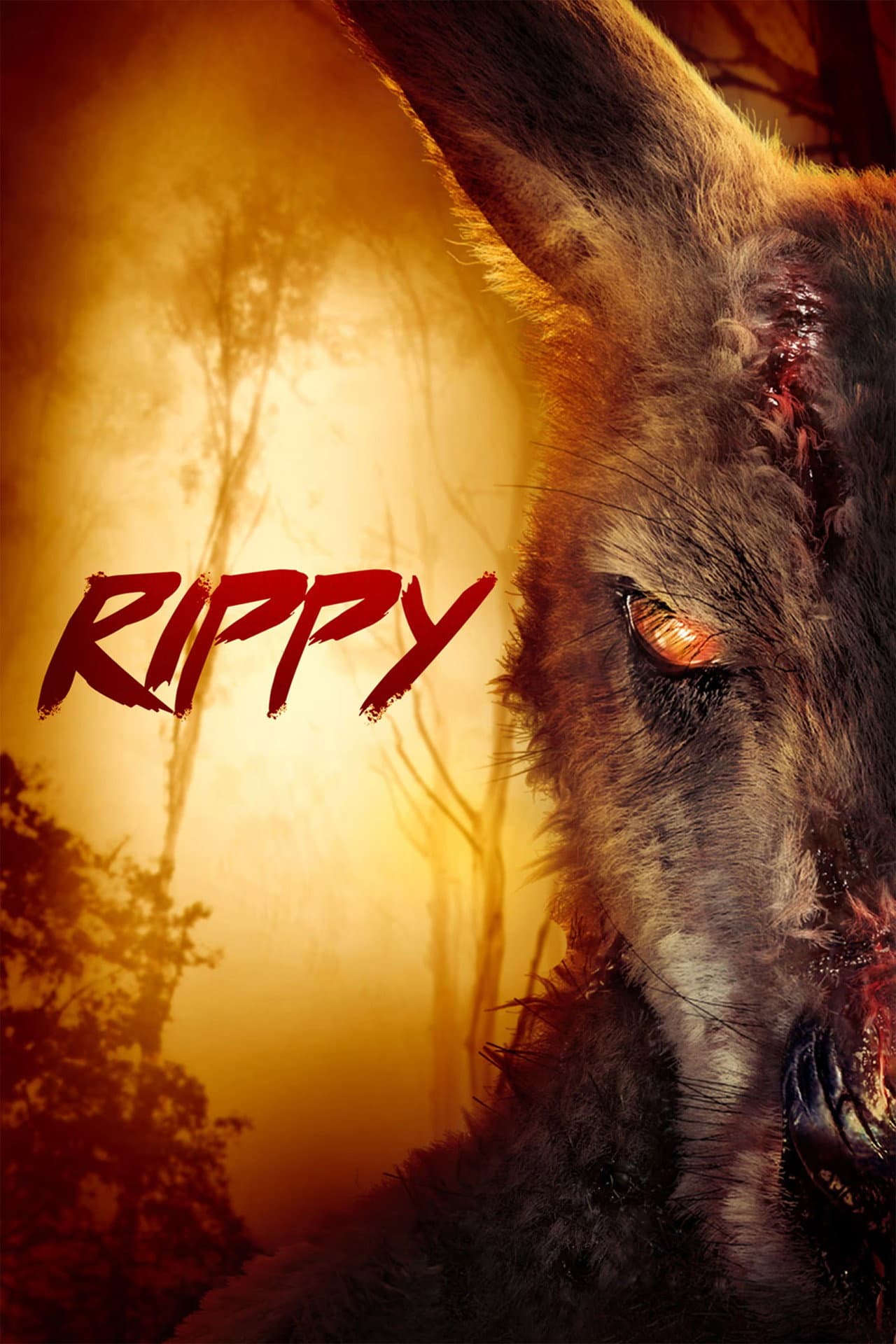 Rippy preview 2