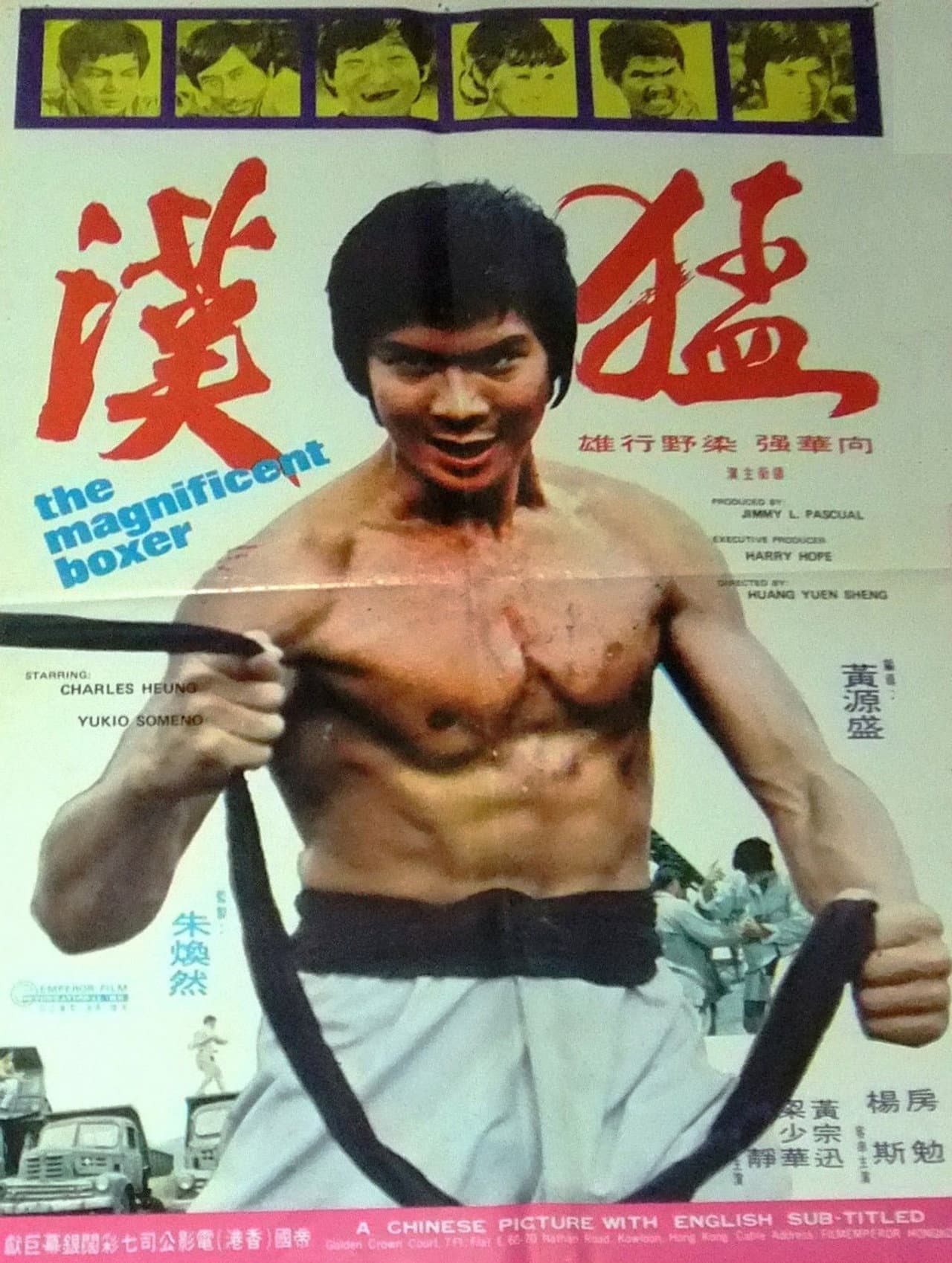 The Magnificent Boxer preview 1