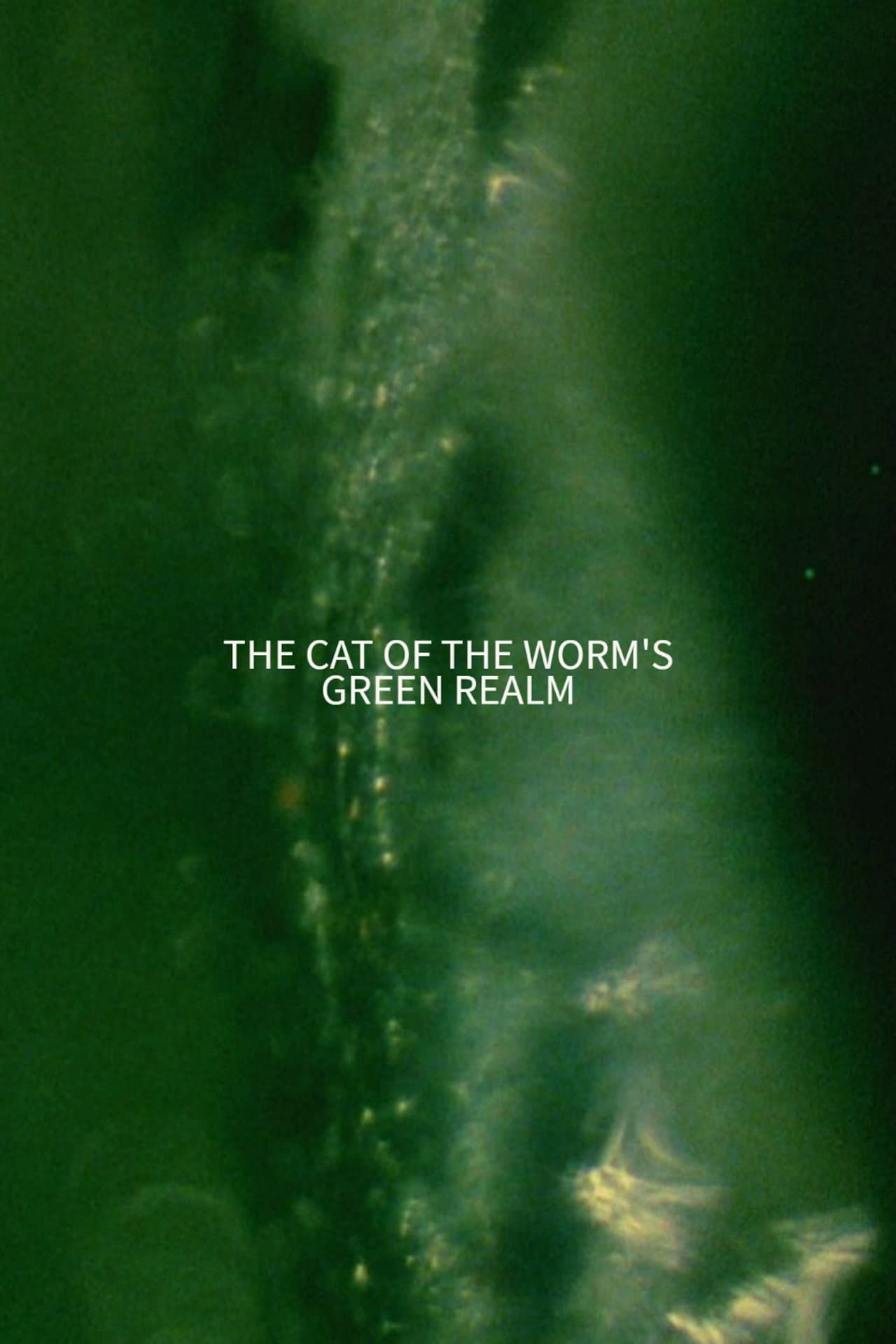 The Cat of the Worm's Green Realm preview 2