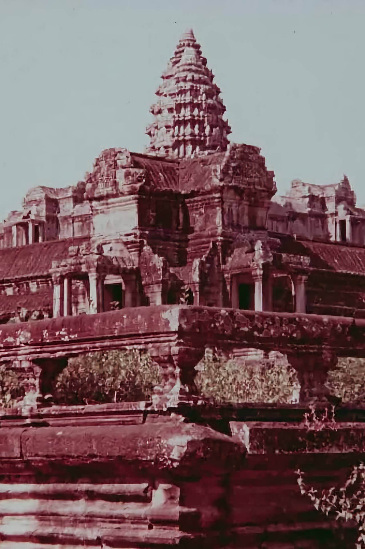 Angkor — SOS in the jungle preview 1